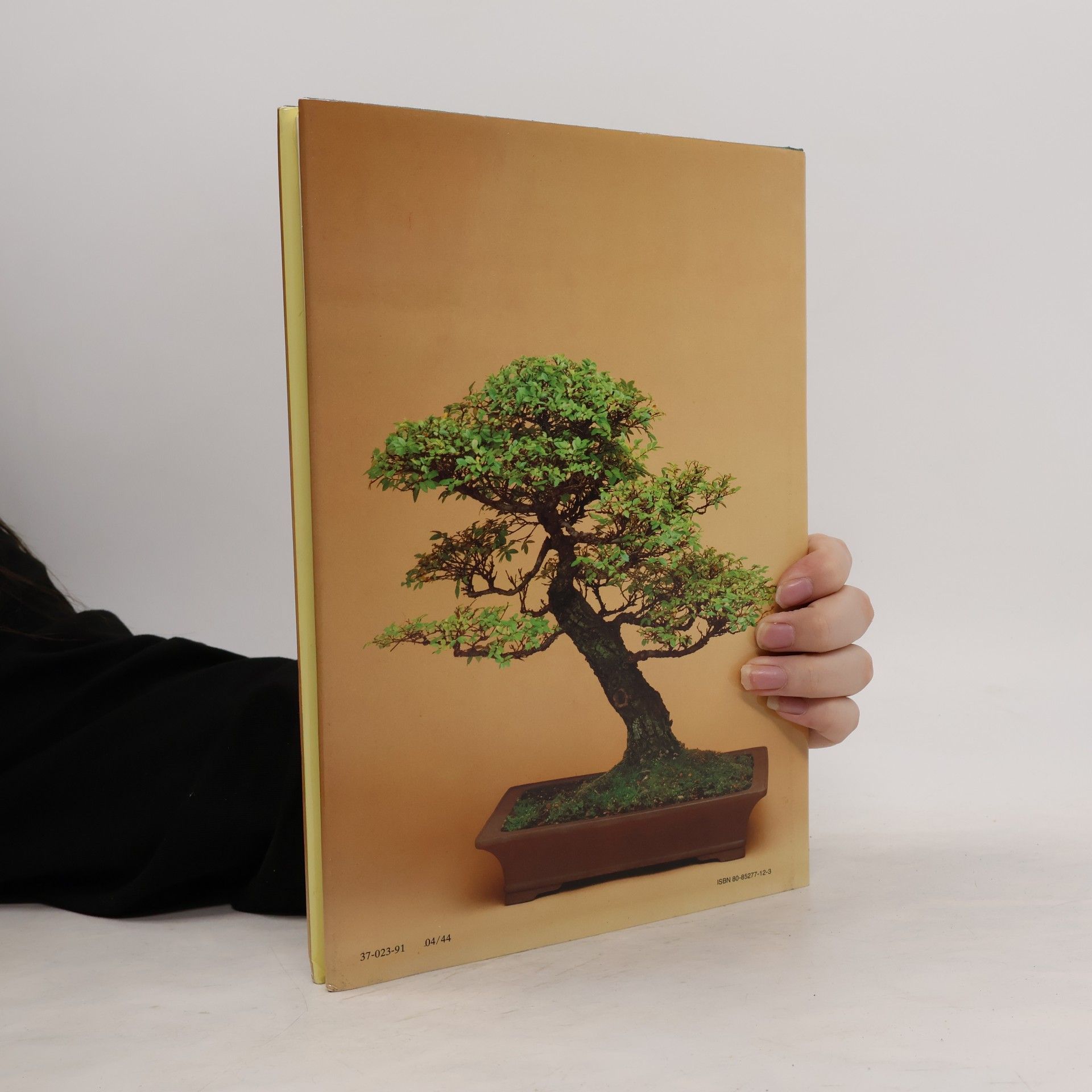 Jan Tykač Bonsai