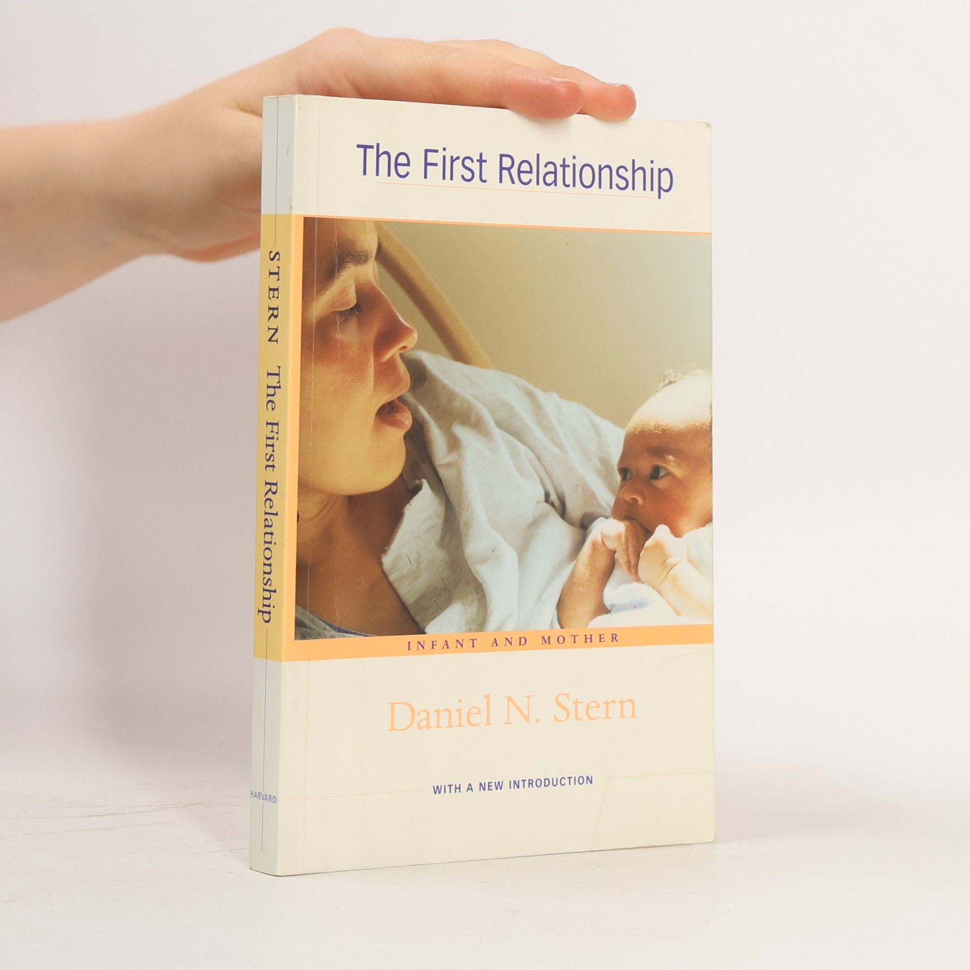 Daniel Stern The First Relationship