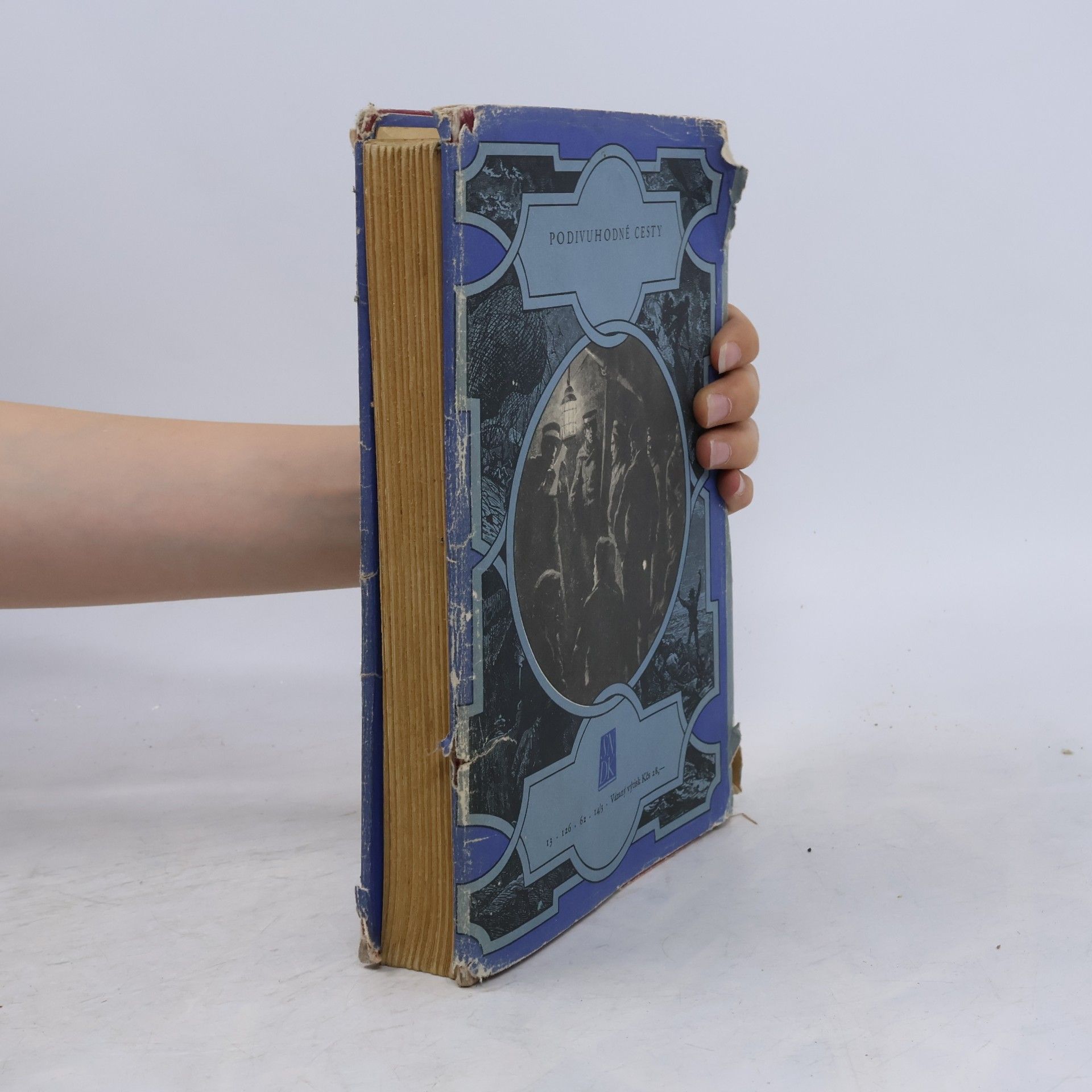 Jules Verne Ledová sfinga