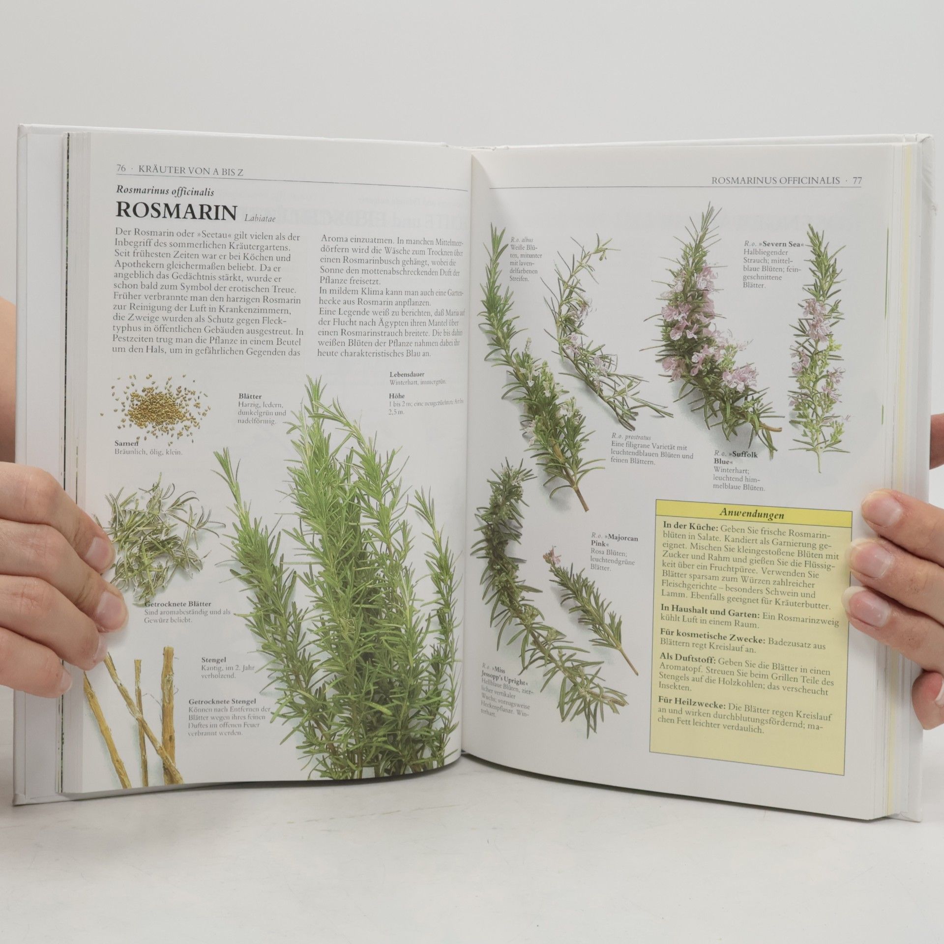 Autorenkollektiv Die ganze Welt der Kräuter: Der grosse Ratgeber für Haus und Garten