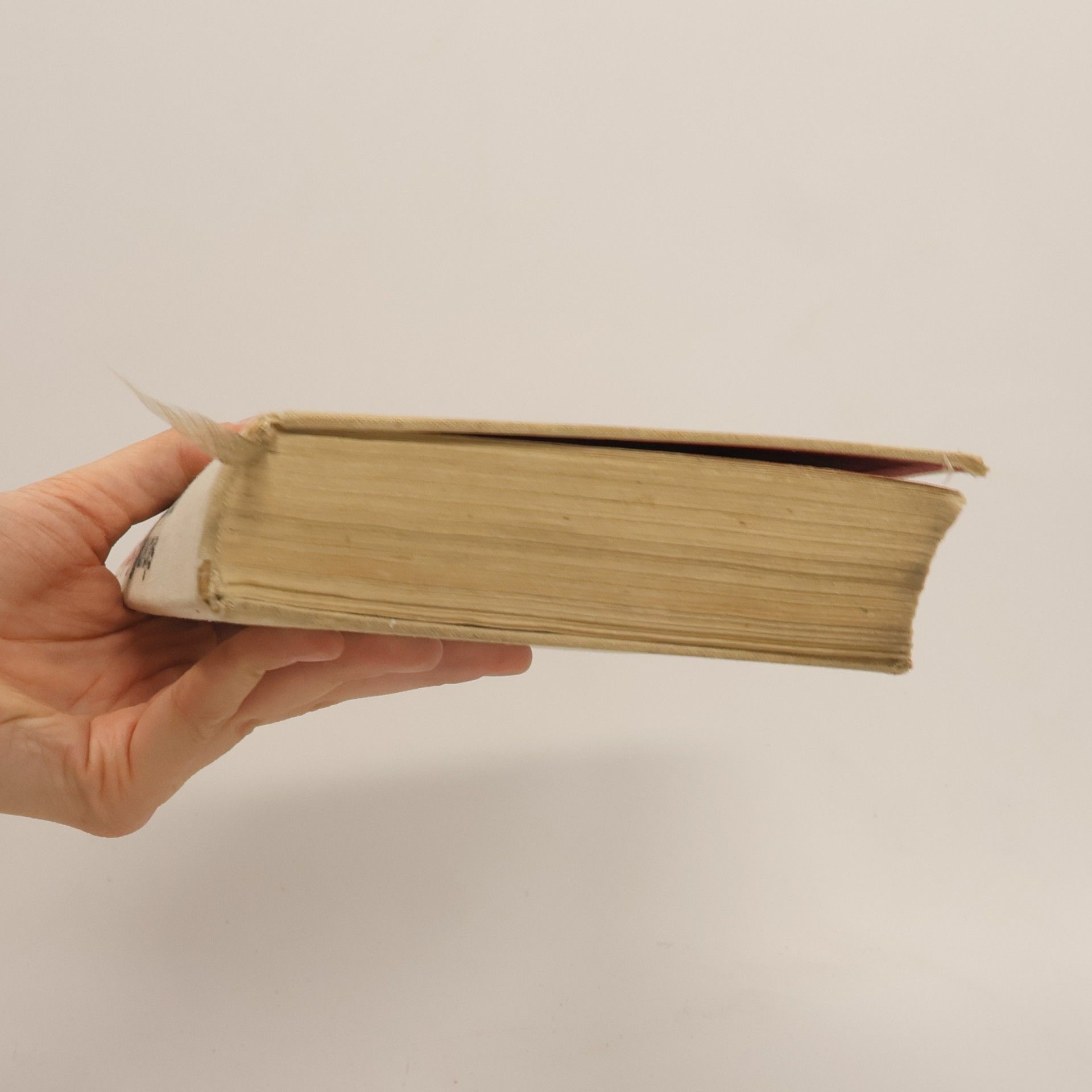 Autores varios Slovník českých spisovatelů