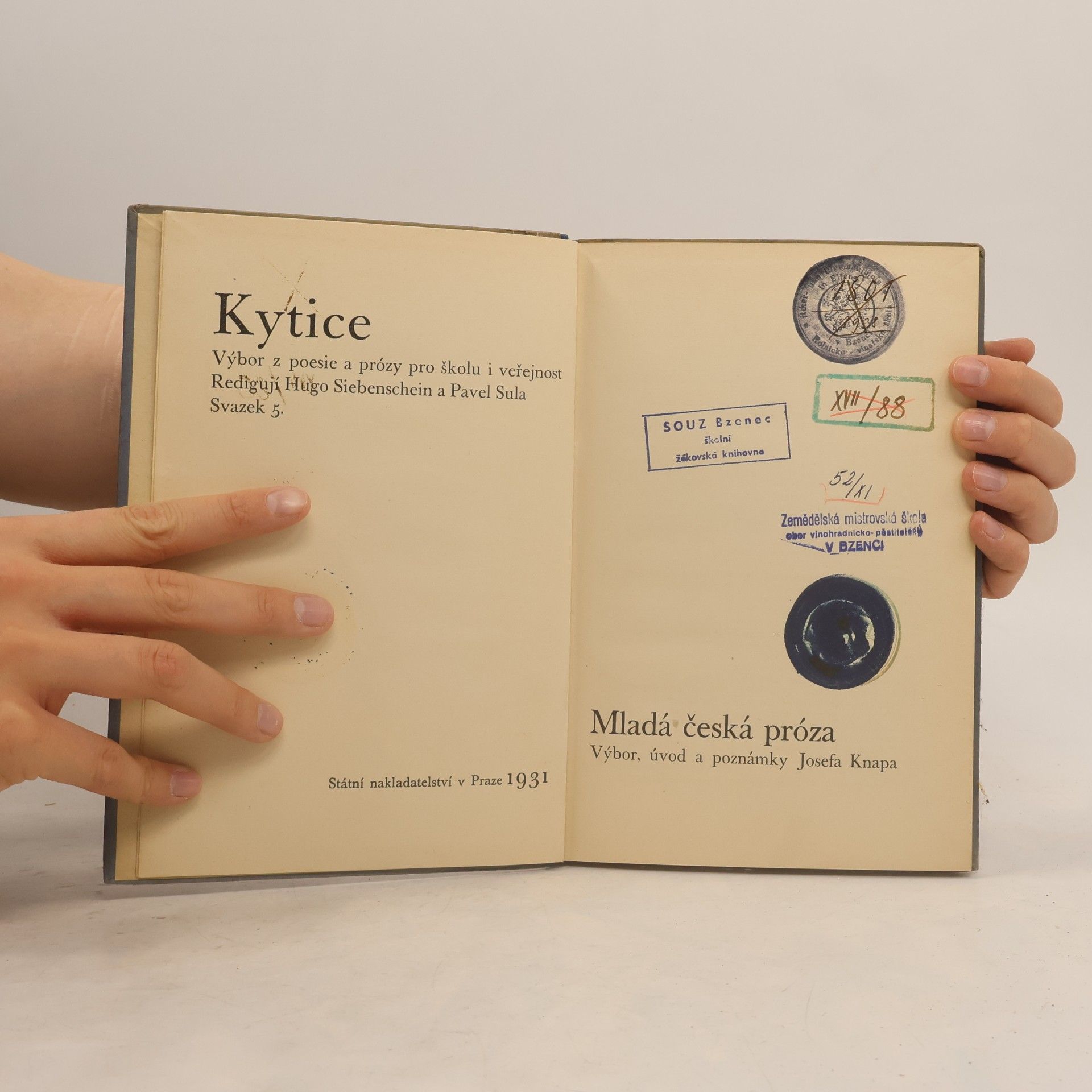 Josef Knap Mladá česká próza. Kytice