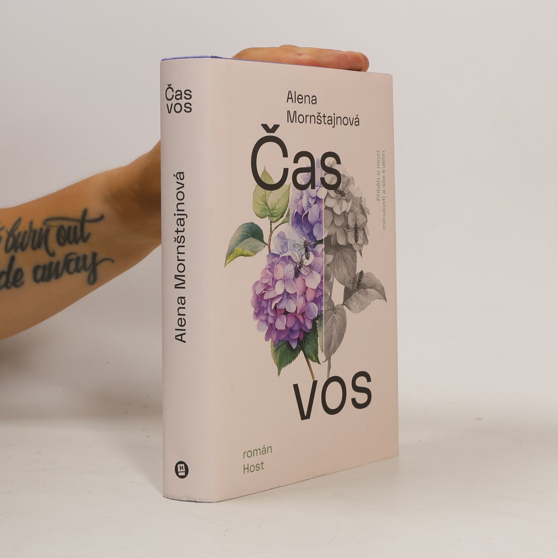 Alena Mornštajnová Čas vos