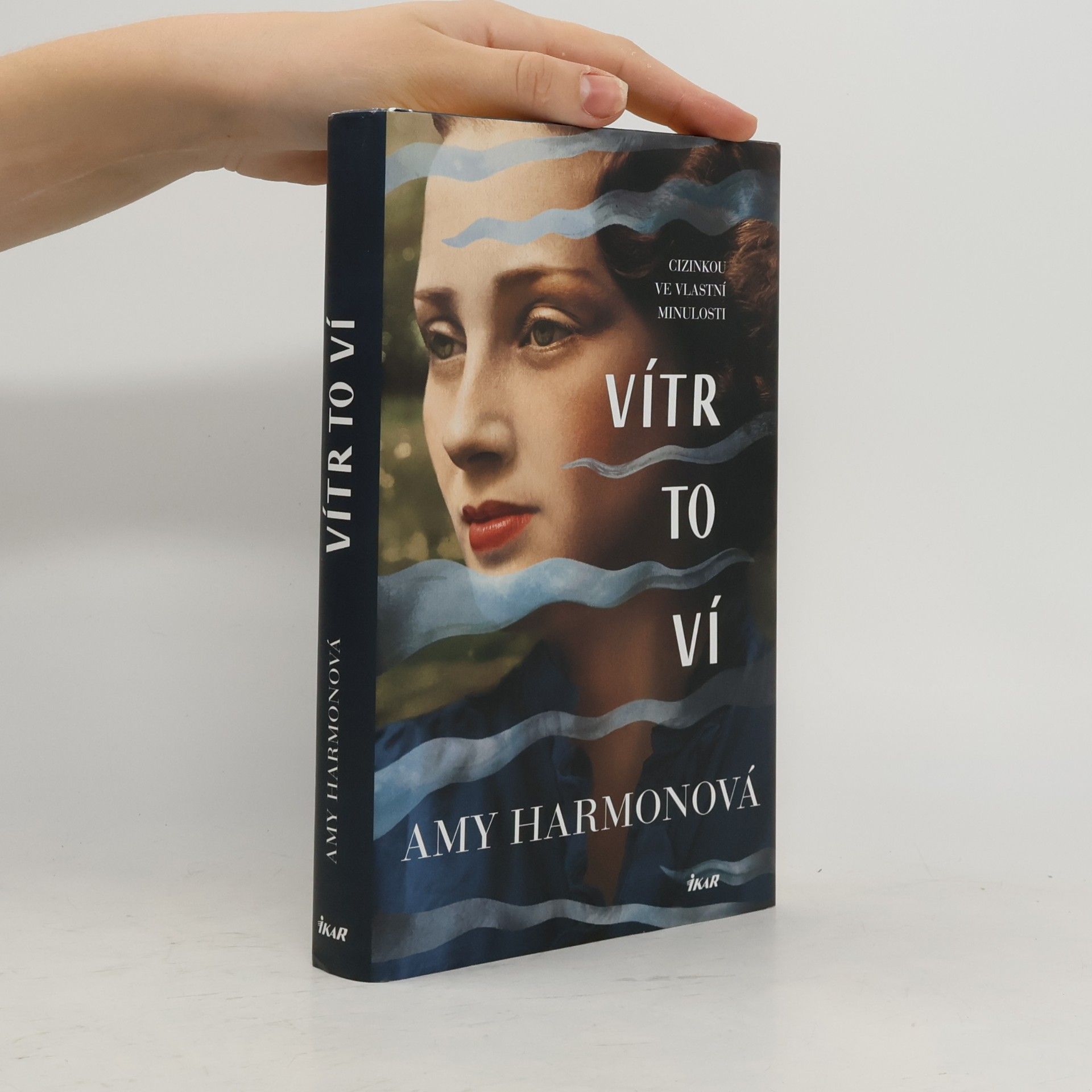 Amy Harmon Vítr to ví