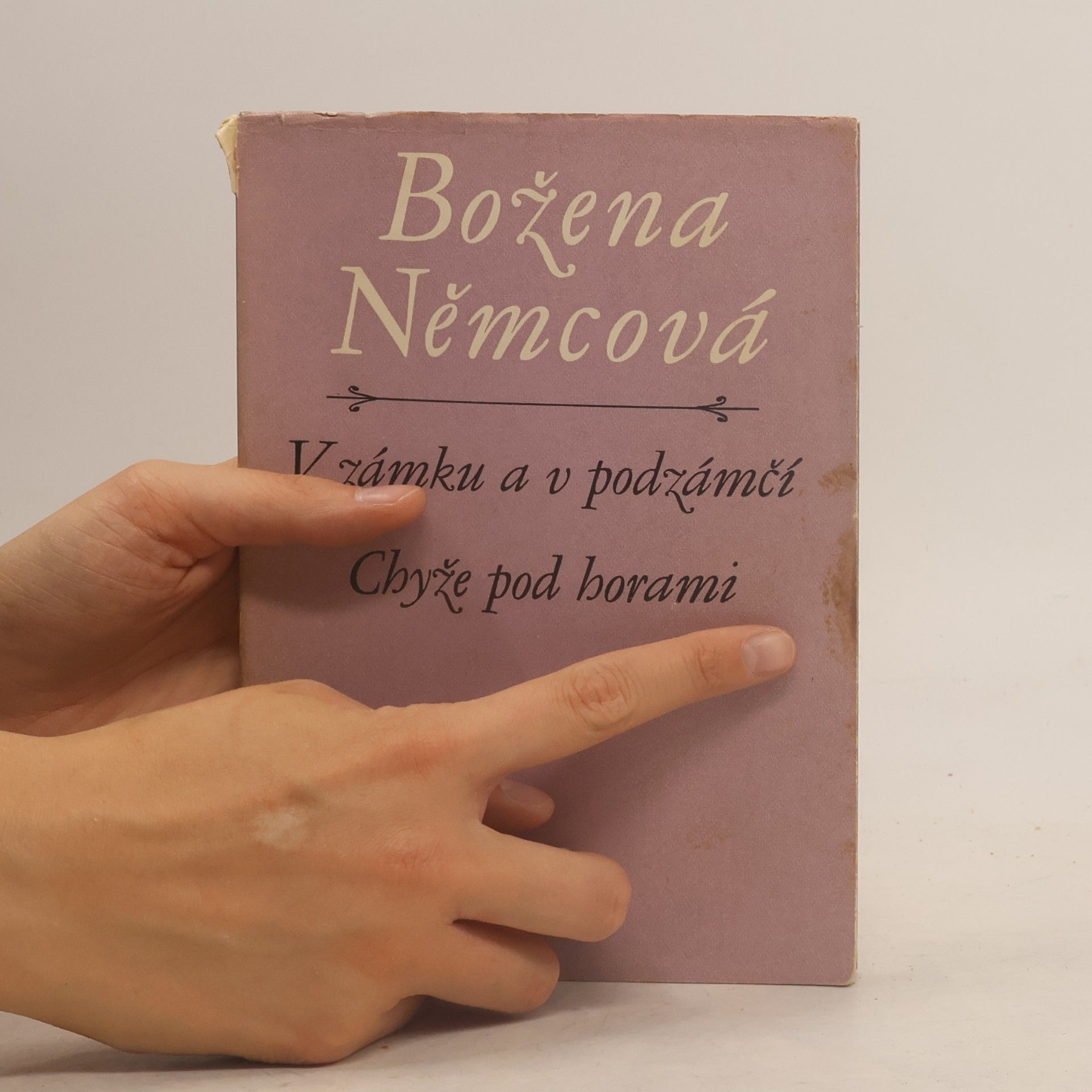 Božena Němcová V zámku a v podzámčí. Chyže pod horami