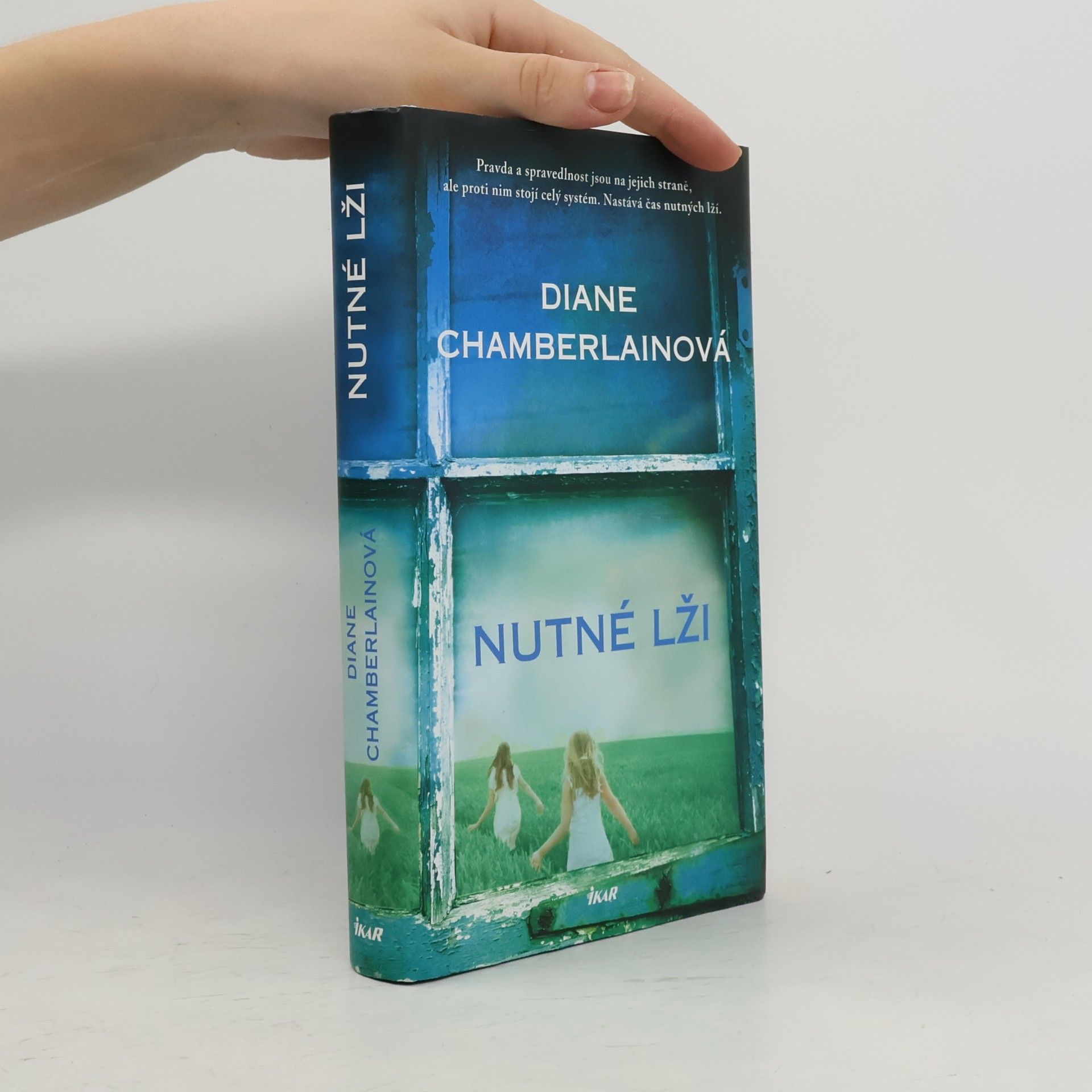 Diane Chamberlain Nutné lži