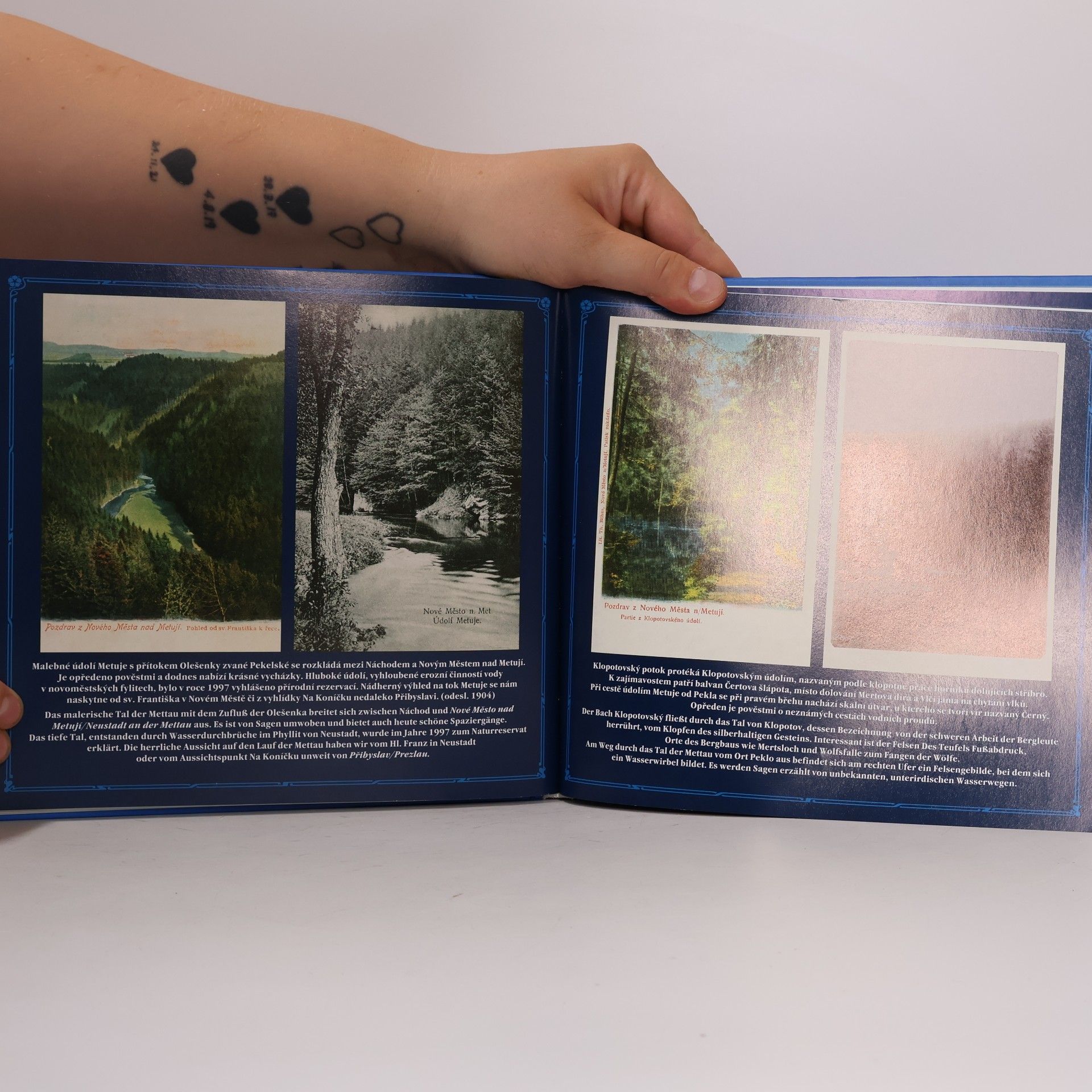 Radka Holendová Album starých pohlednic - Orlické hory a Podorlicko
