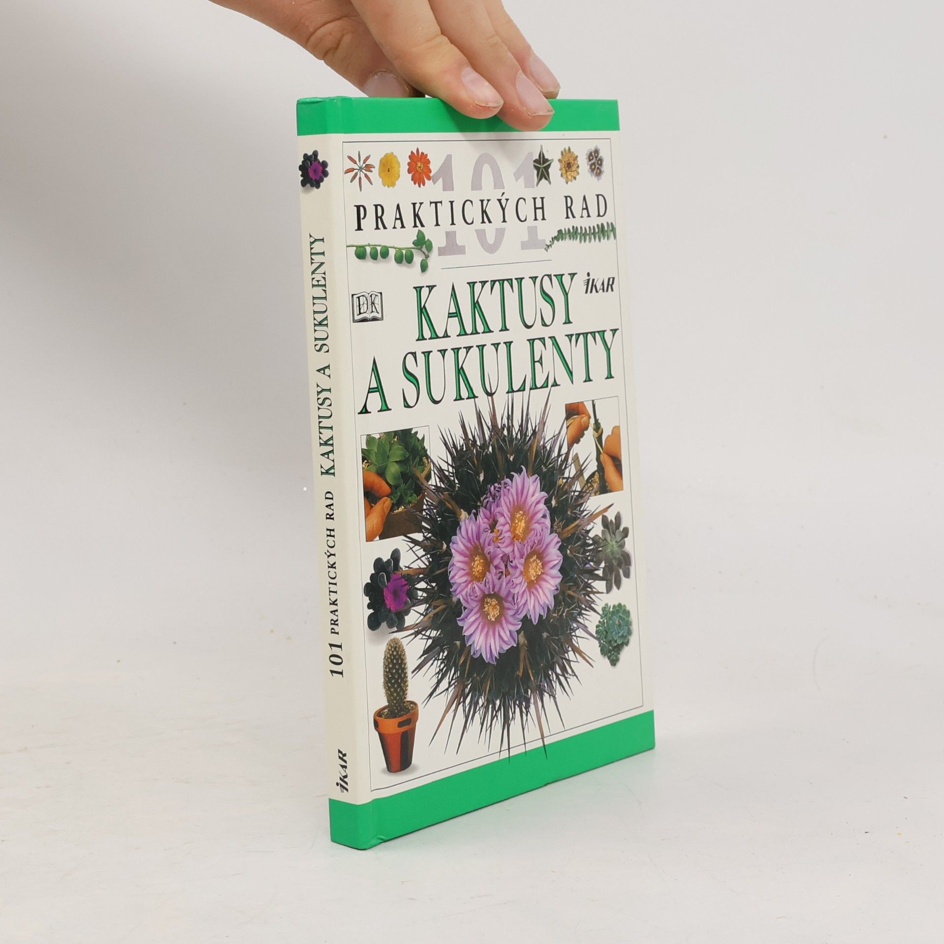 Kaktusy a sukulenty