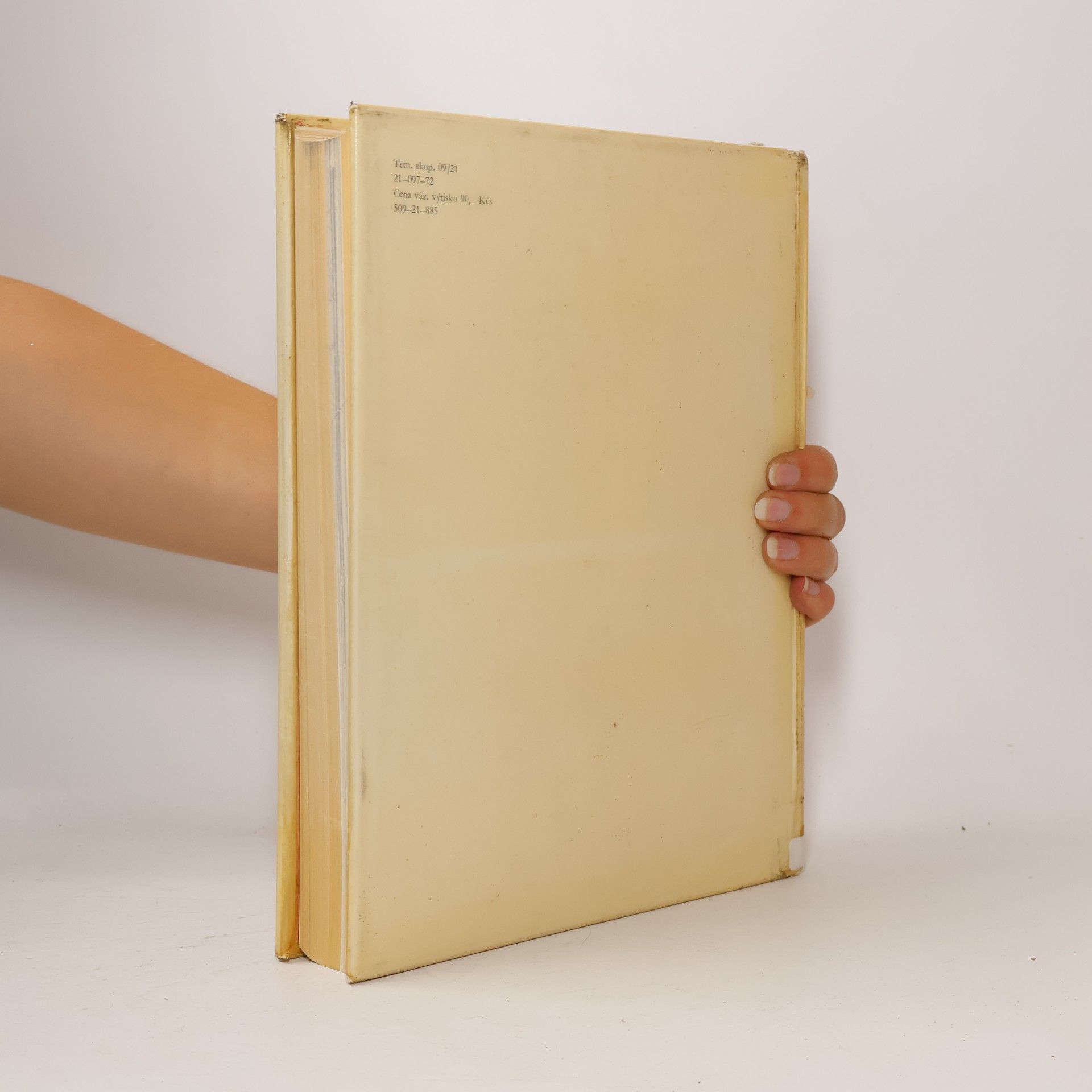Autorenkollektiv Dějiny české hudební kultury 1. 1890-1945