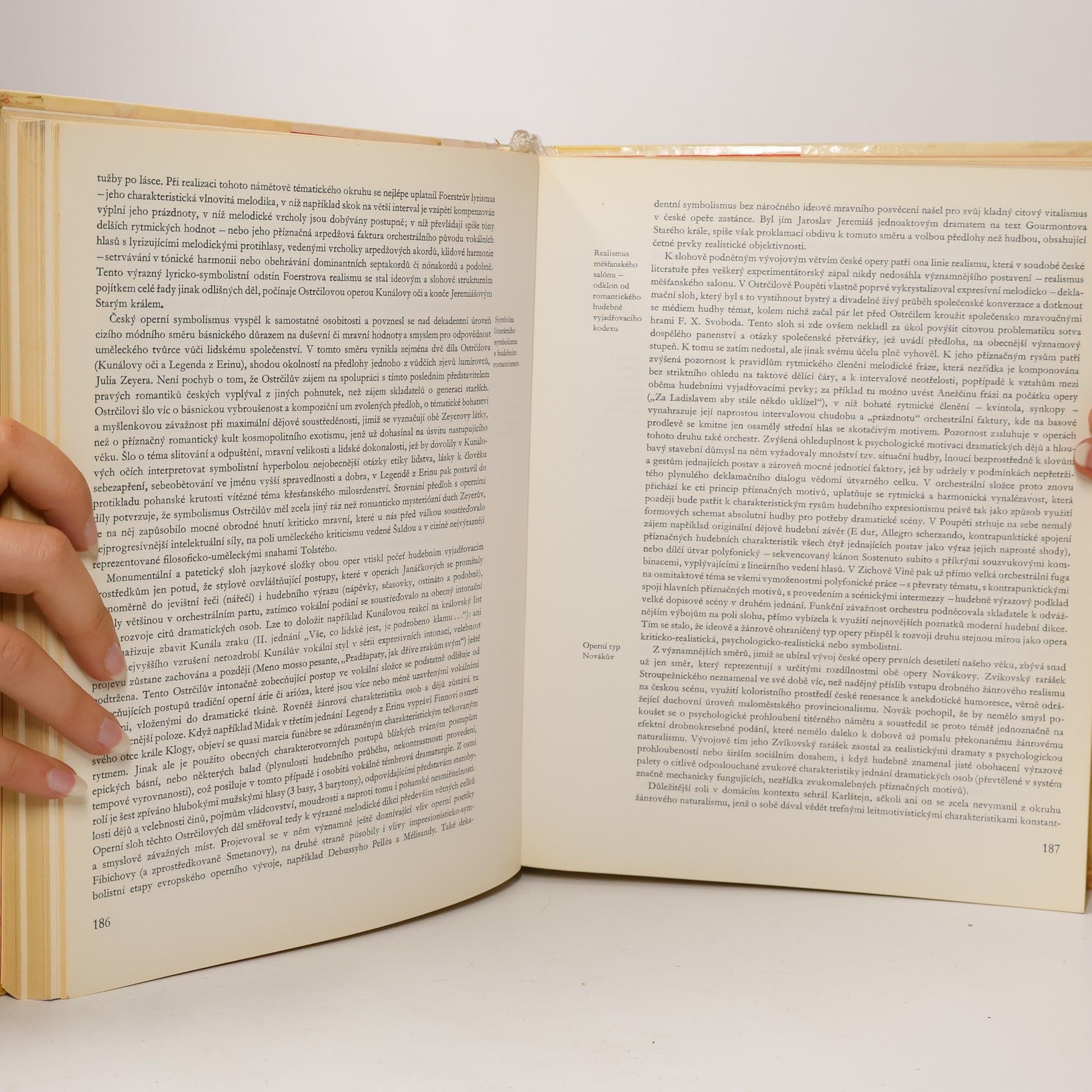 Autorenkollektiv Dějiny české hudební kultury 1. 1890-1945