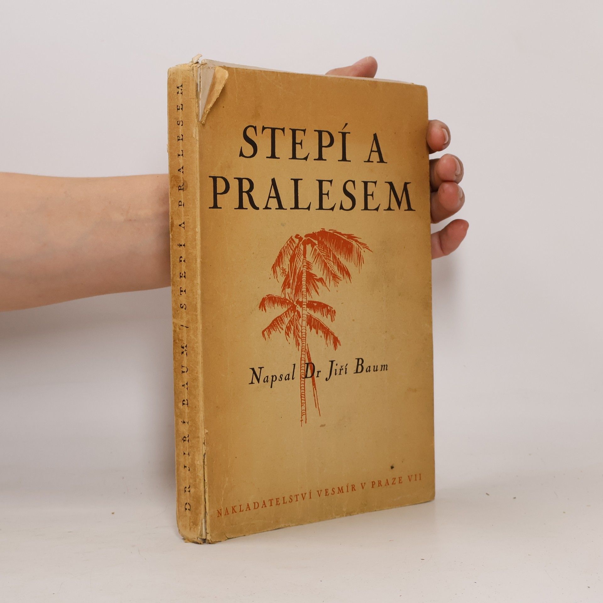 Jiří Baum Stepí a pralesem