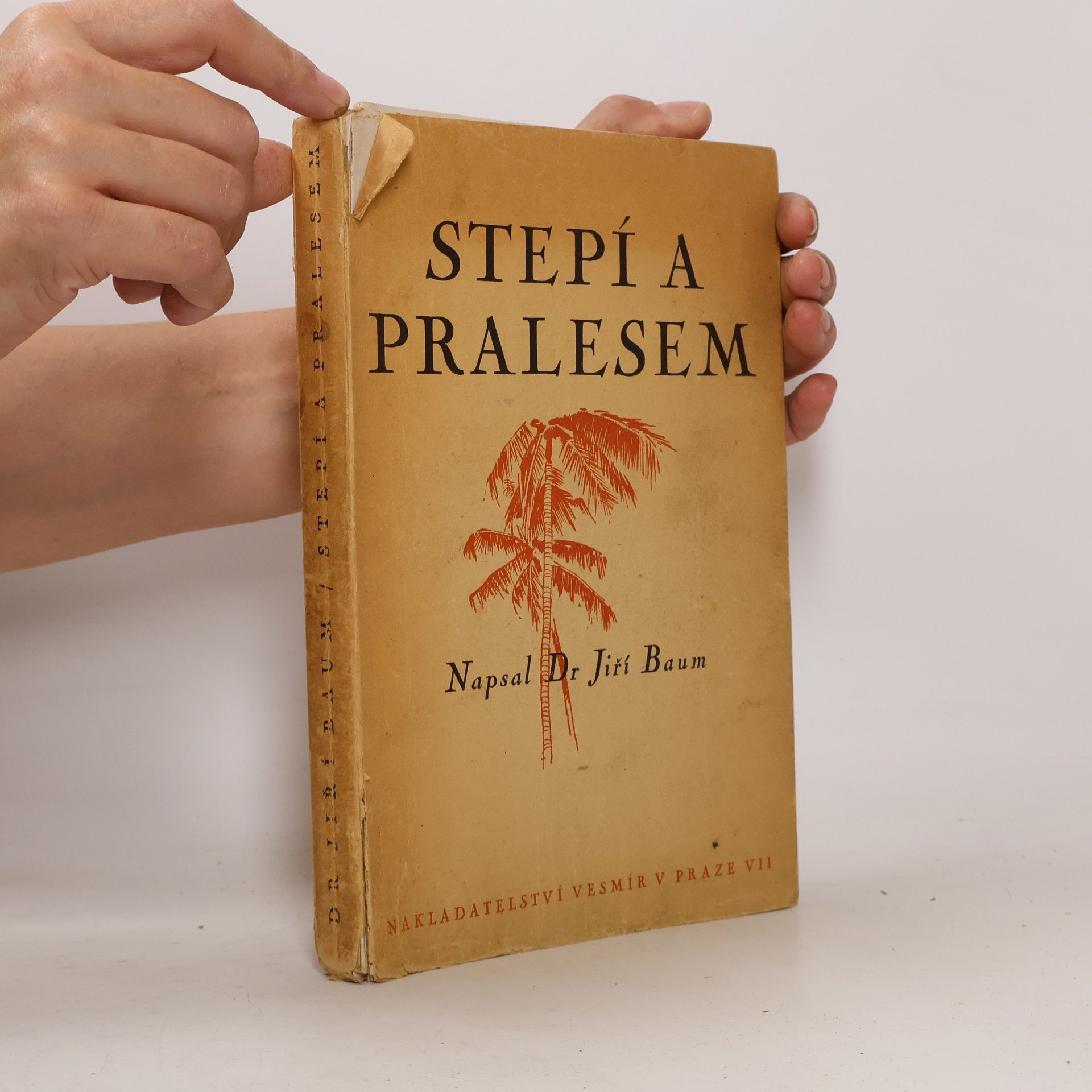 Jiří Baum Stepí a pralesem