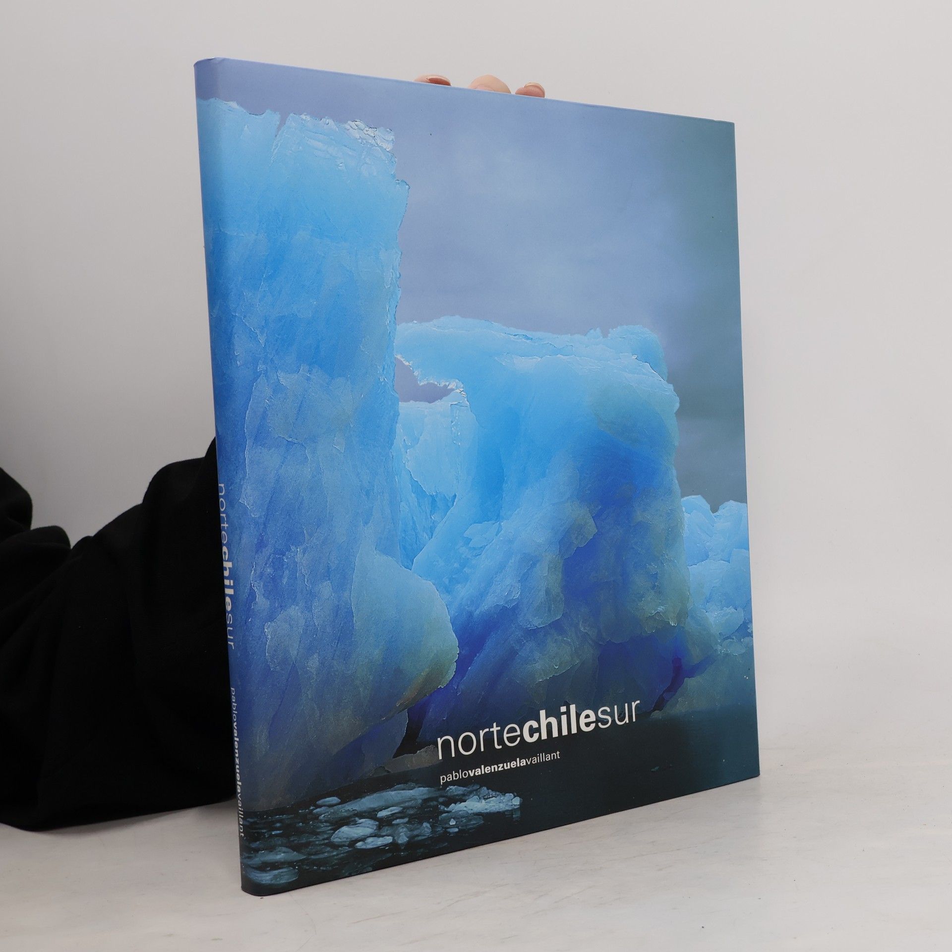 Nortechilesur