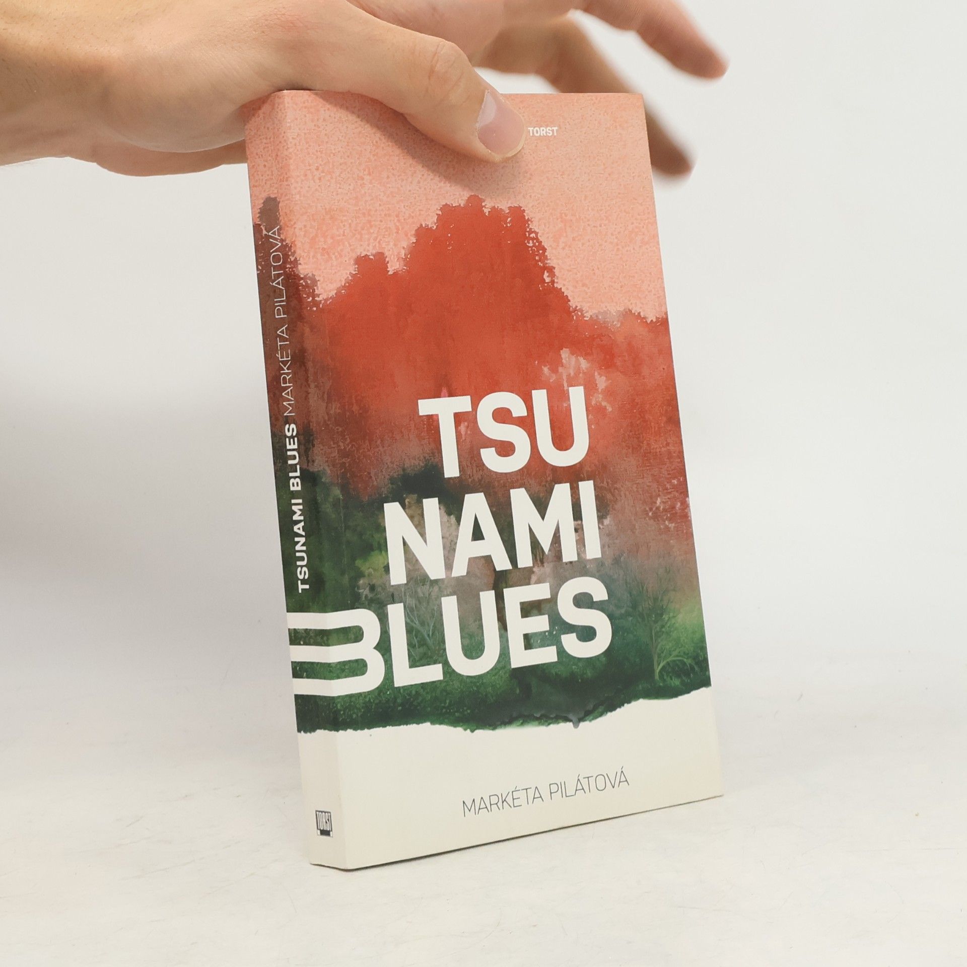 Markéta Pilátová Tsunami blues