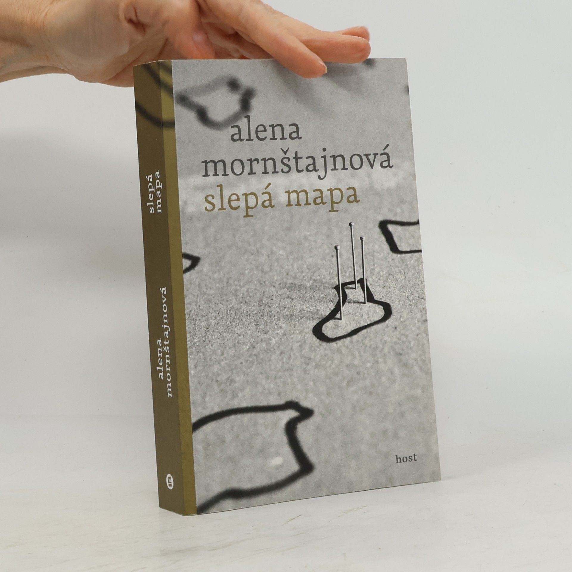 Alena Mornštajnová Slepá mapa