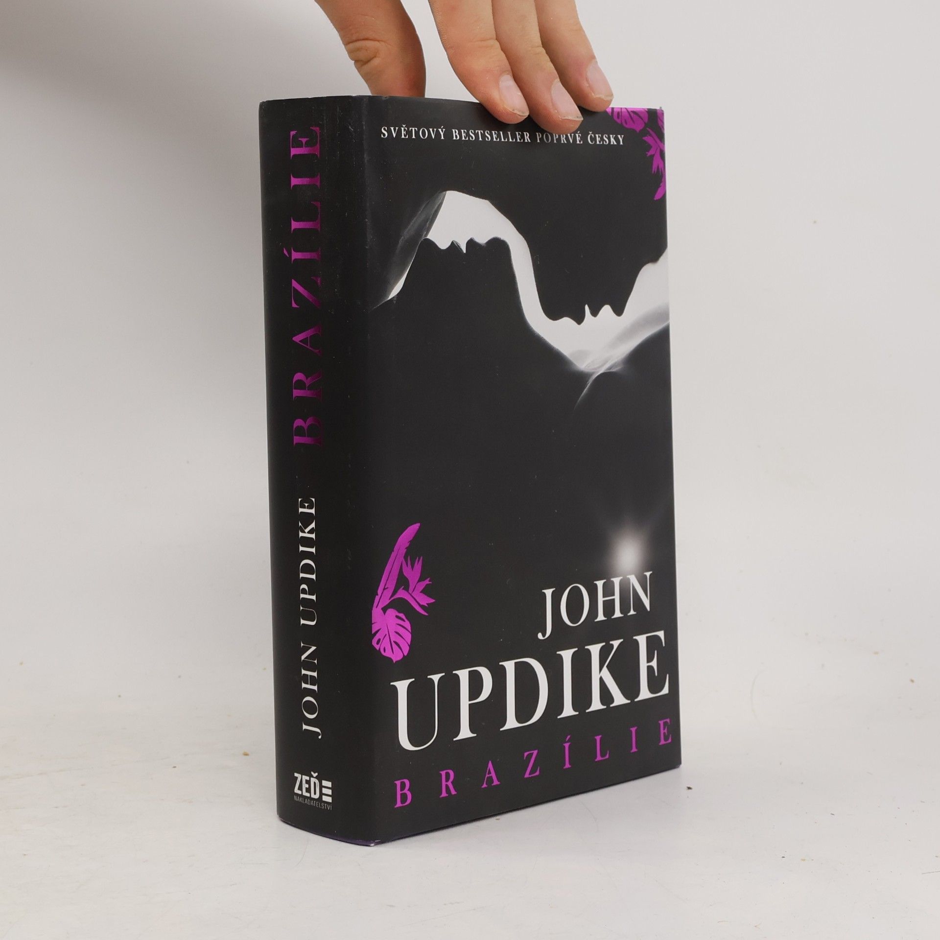 John Updike Brazílie