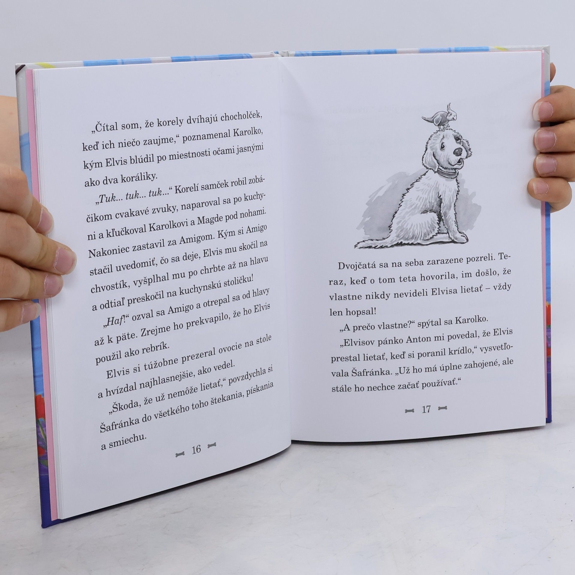 Kate Finch Mačacie tajomstvo