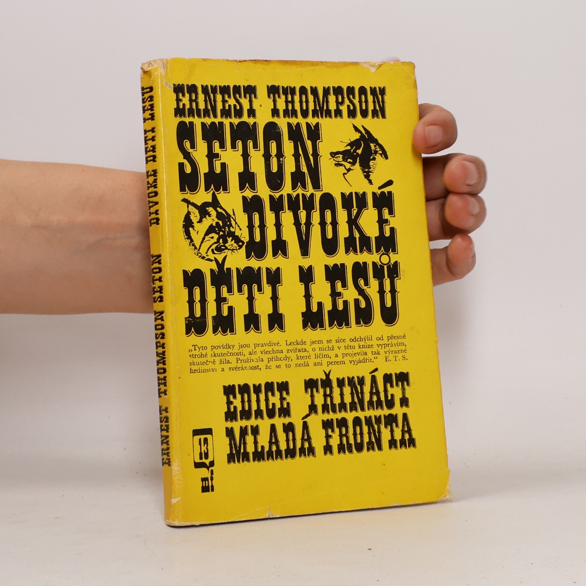 Ernest Thompson Seton Divoké děti lesů
