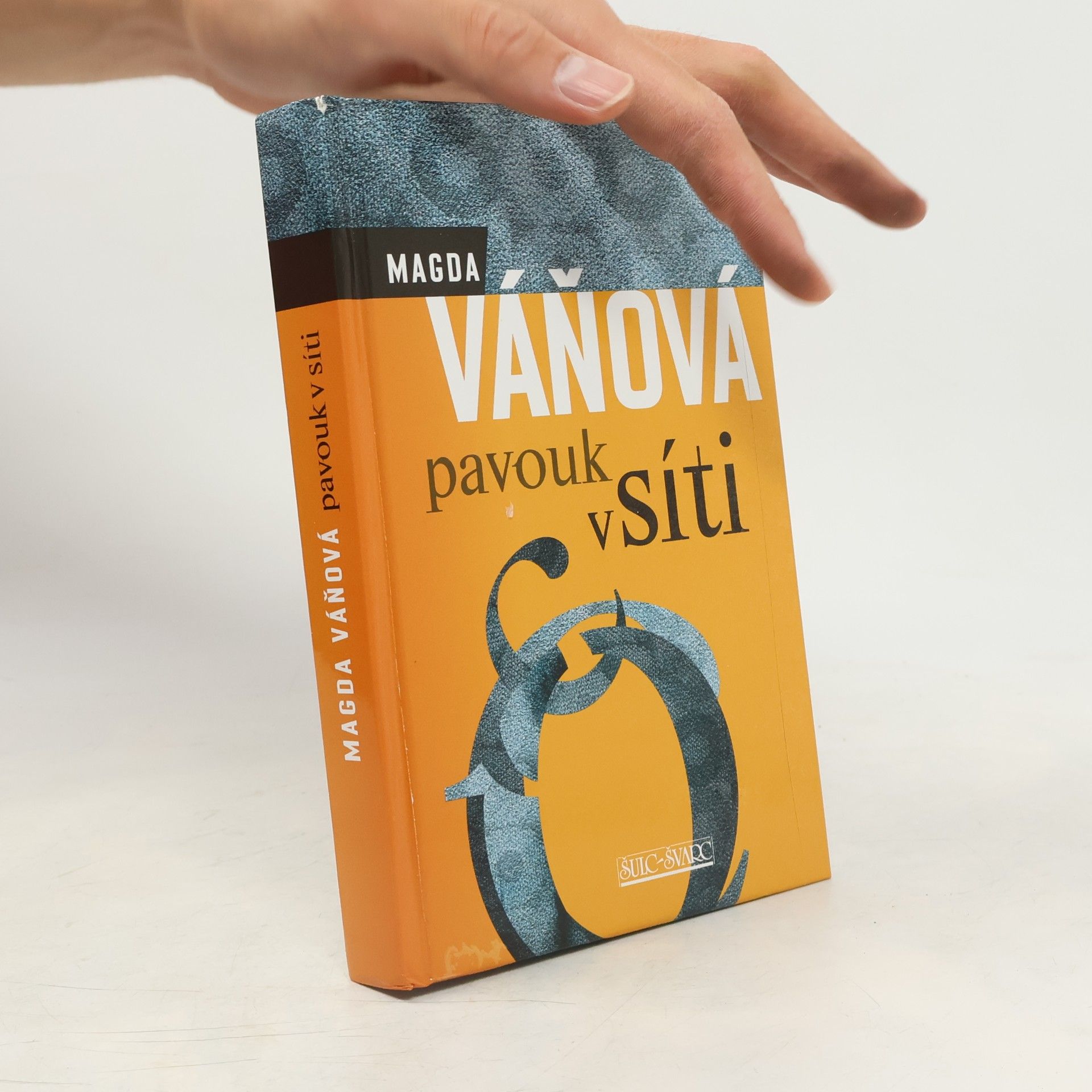 Pavouk v síti
