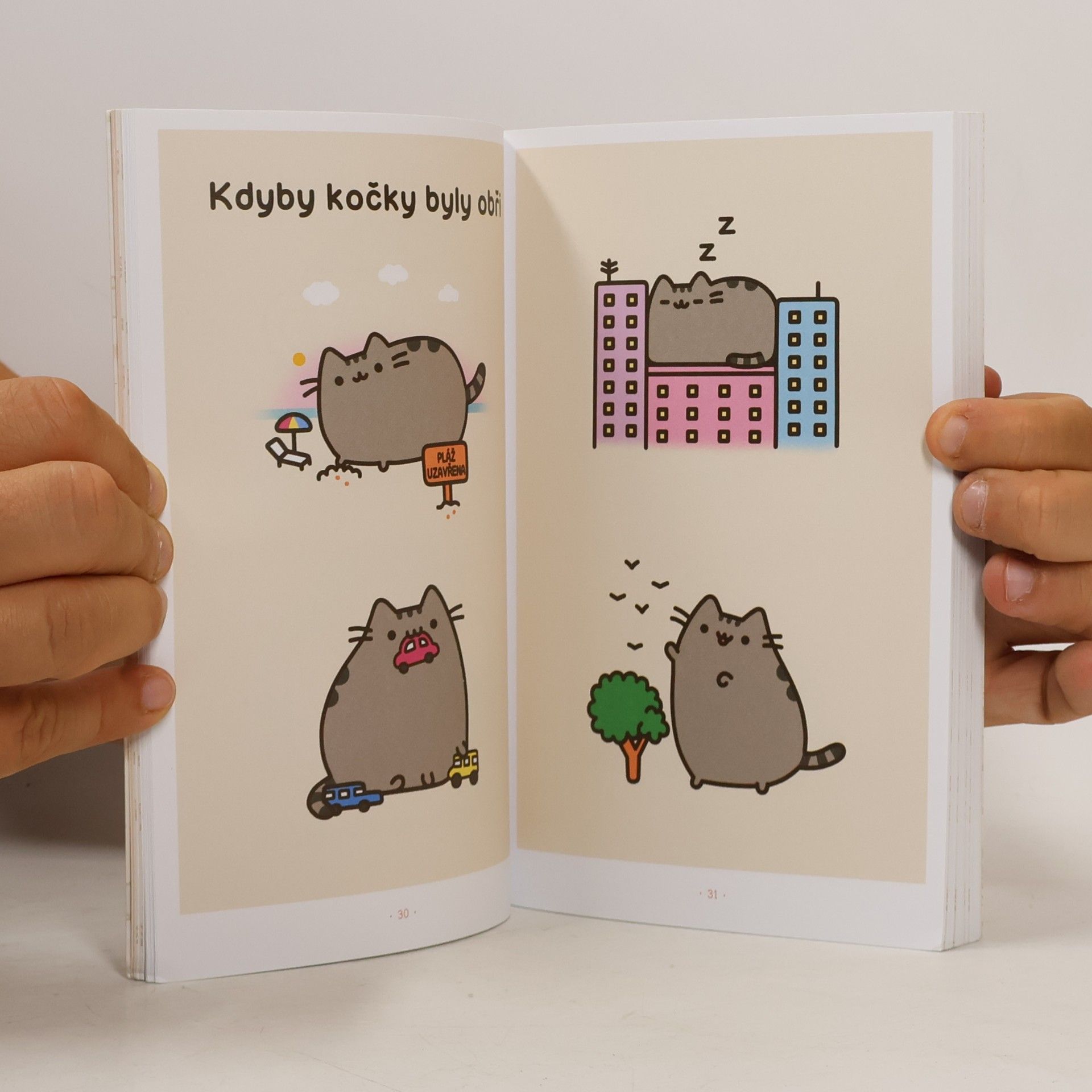 Claire Belton Pusheen - Já, košišta