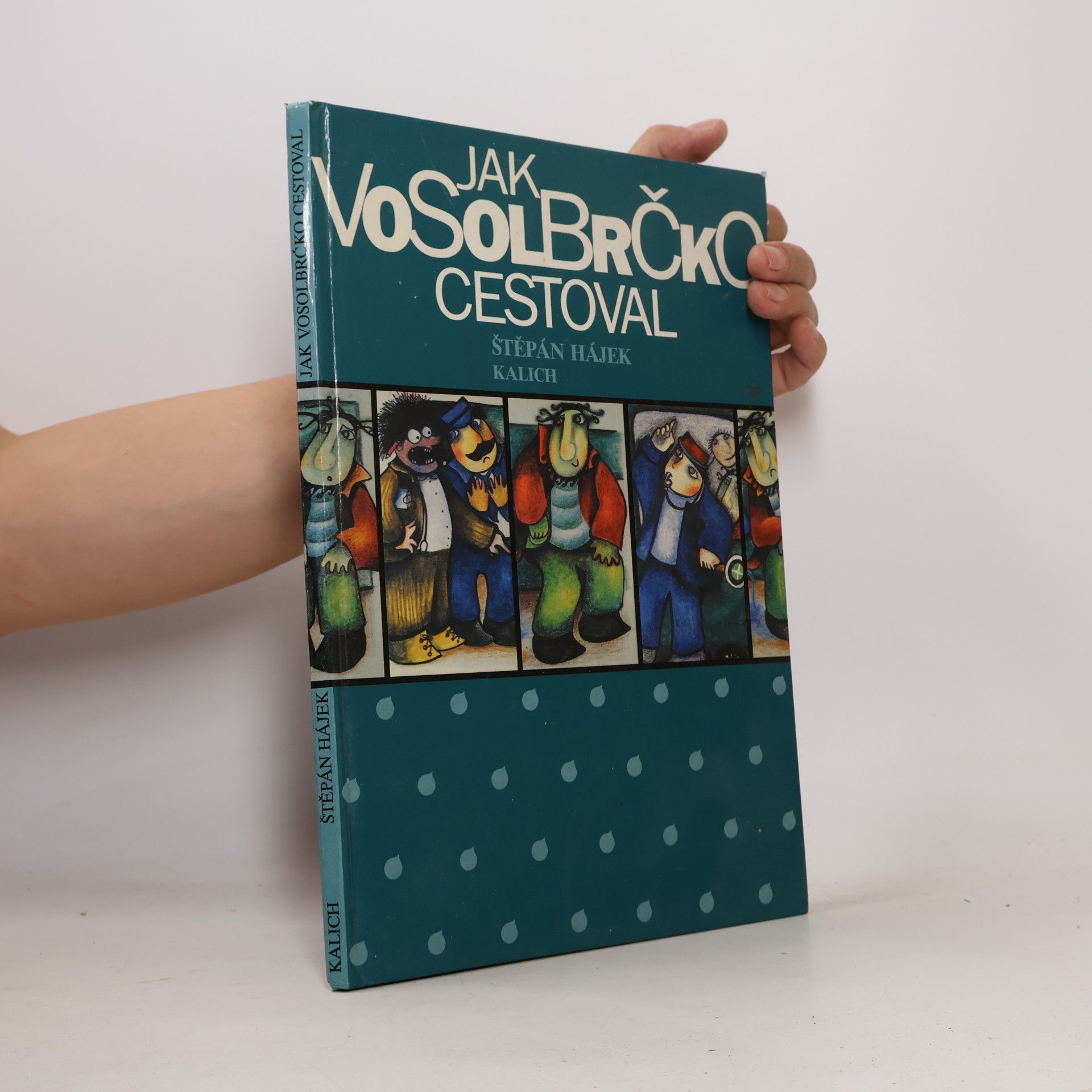 Jak Vosolbrčko cestoval