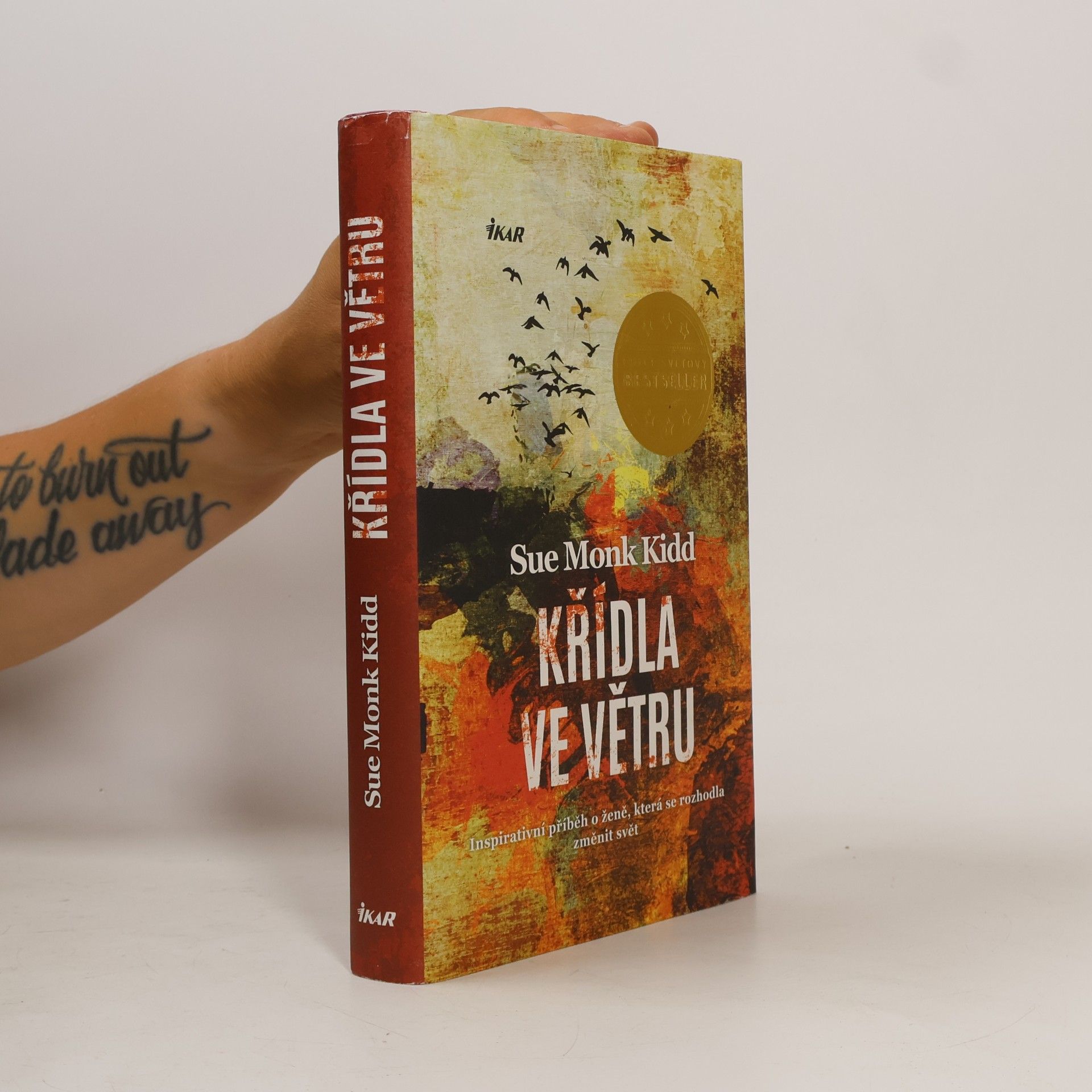 Sue Monk Kidd Křídla ve větru
