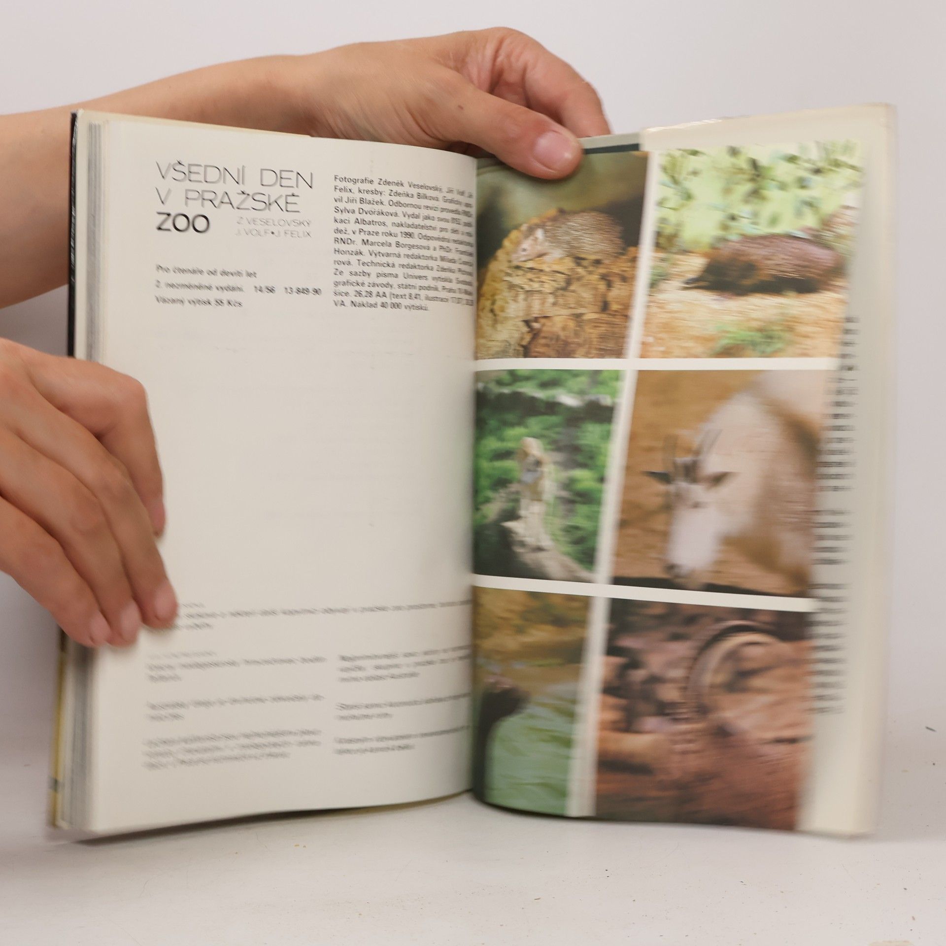 Zdeněk Veselovský Všední den v pražské ZOO