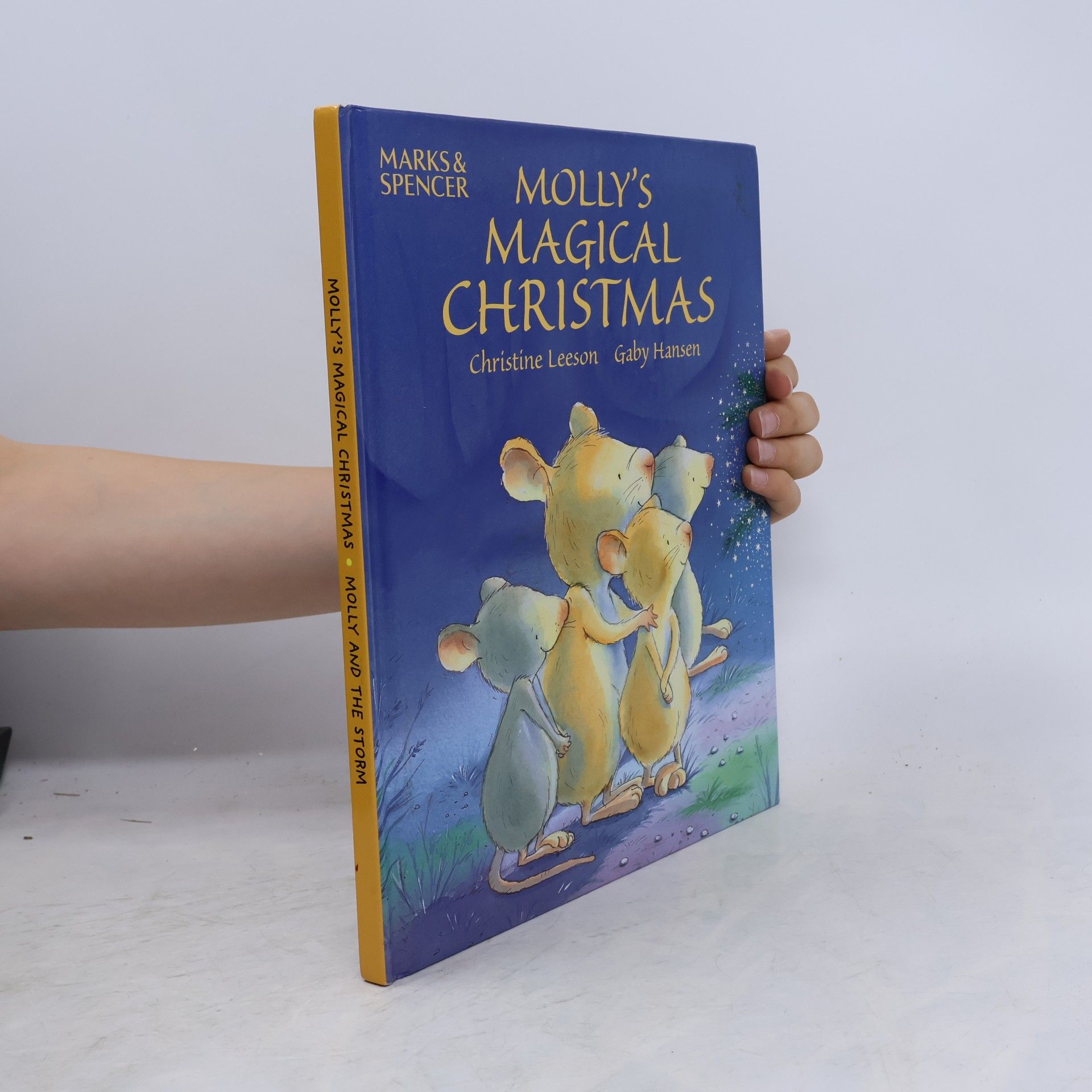 Molly's Magical Christmas