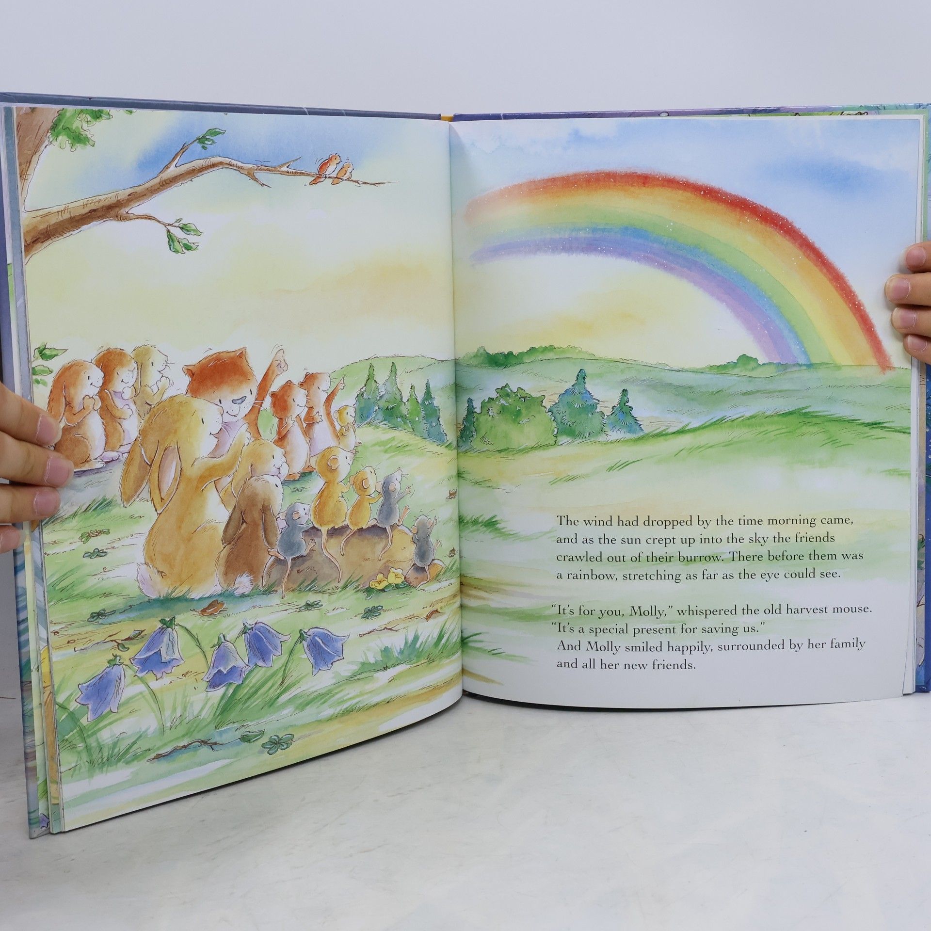 Christine Leeson Molly's Magical Christmas