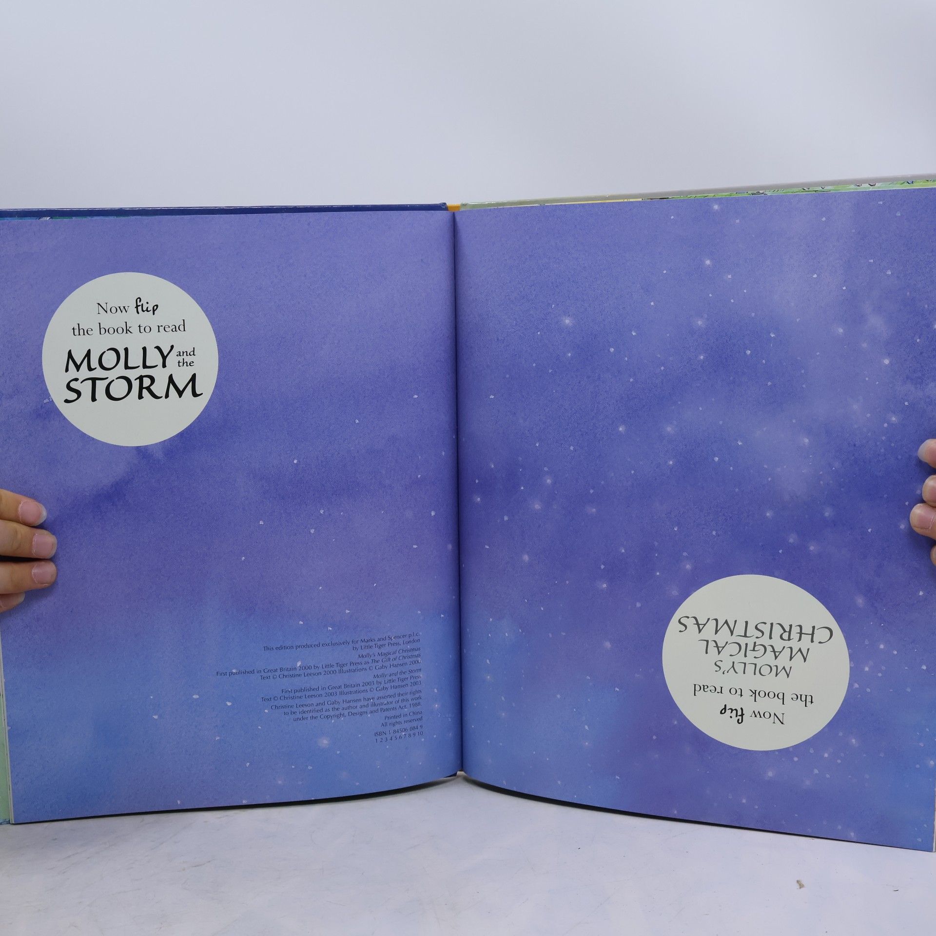 Christine Leeson Molly's Magical Christmas