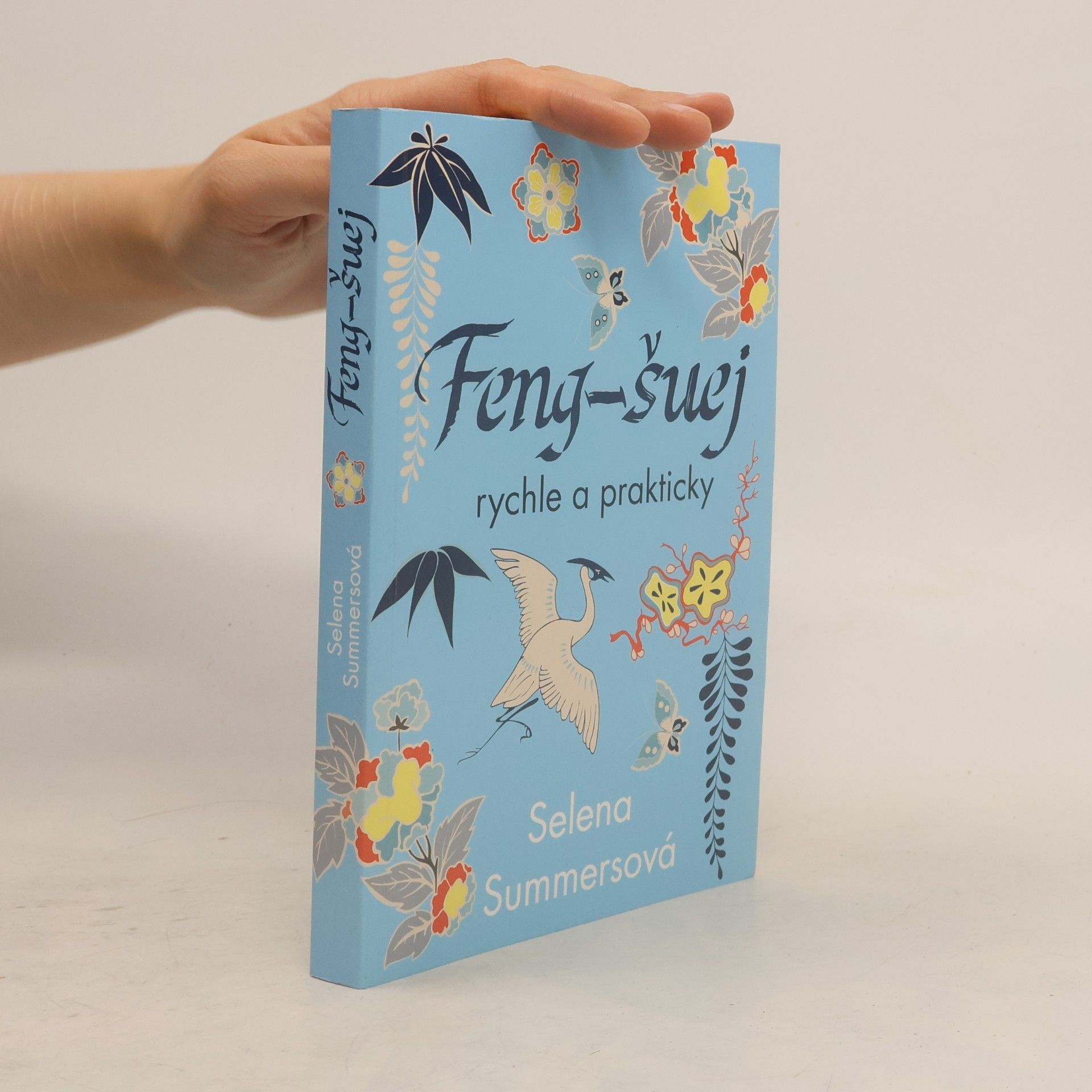 Feng-šuej rychle a prakticky