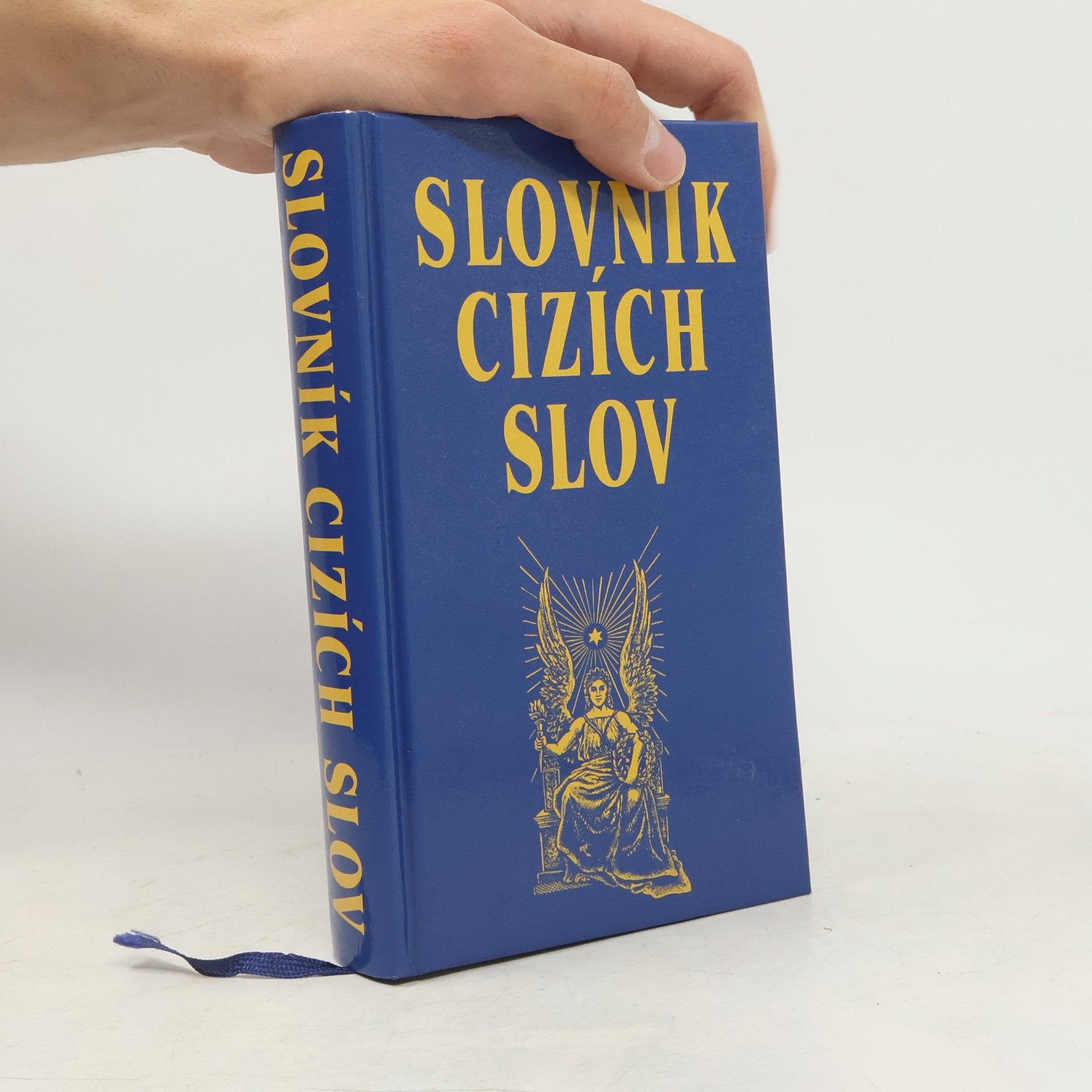 Autorenkollektiv Slovník cizích slov
