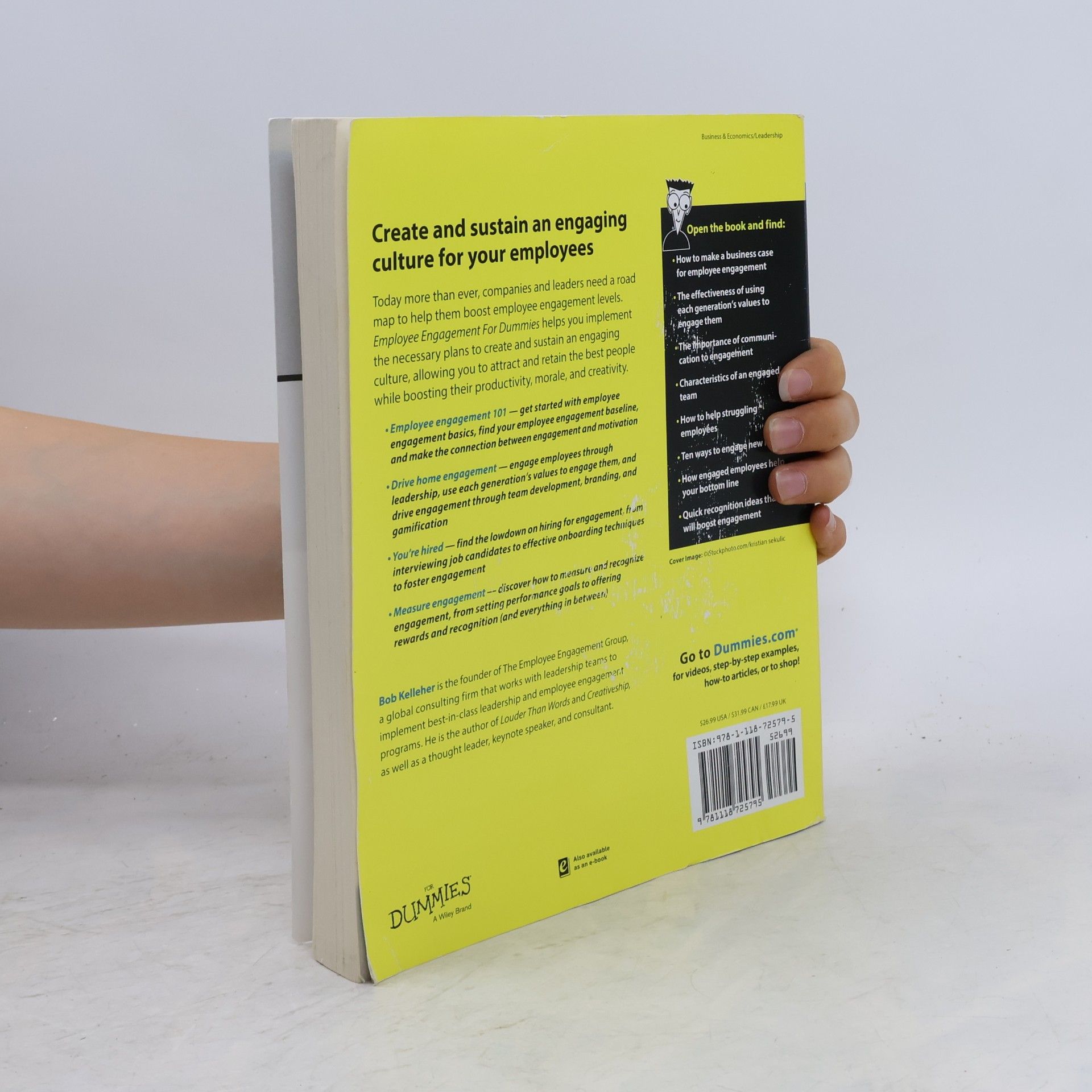 Roy Barnes Employee Engagement For Dummies