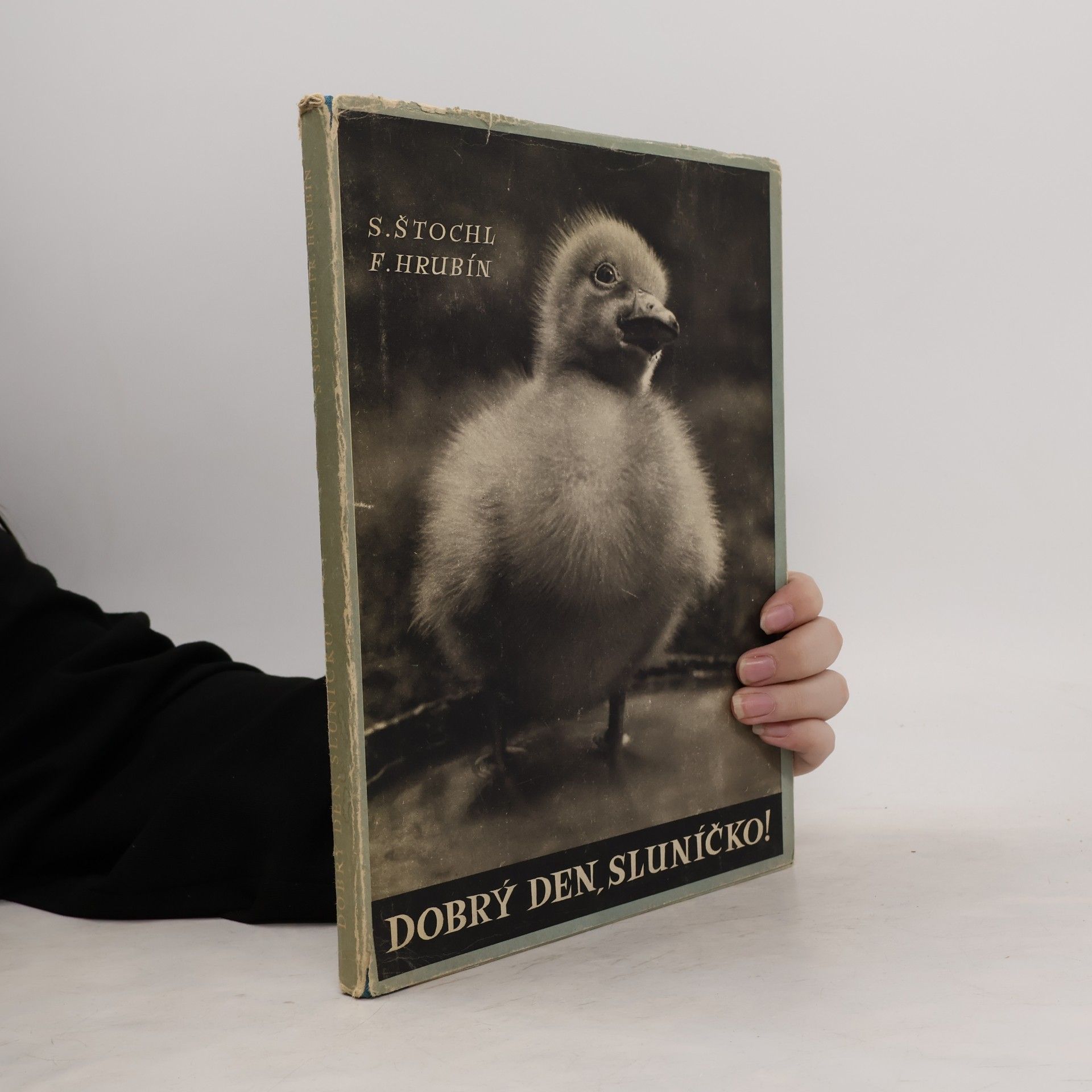 František Hrubín Dobrý den, sluníčko!