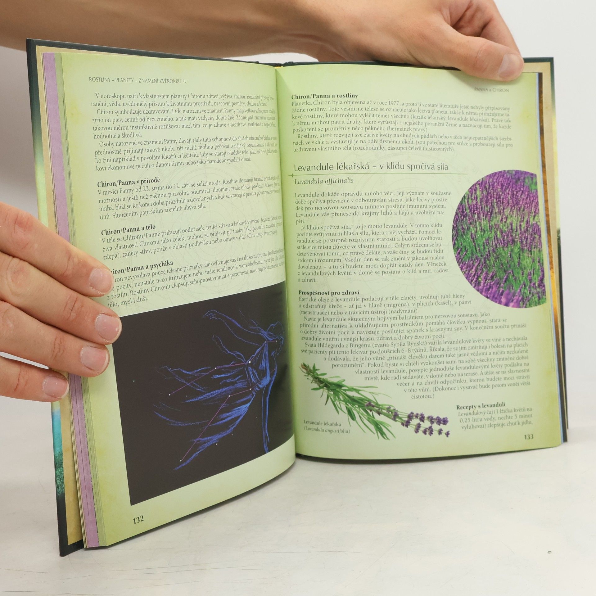 Yvonne H. Koch Astrologie rostlin : léčivá síla rostlin a planet