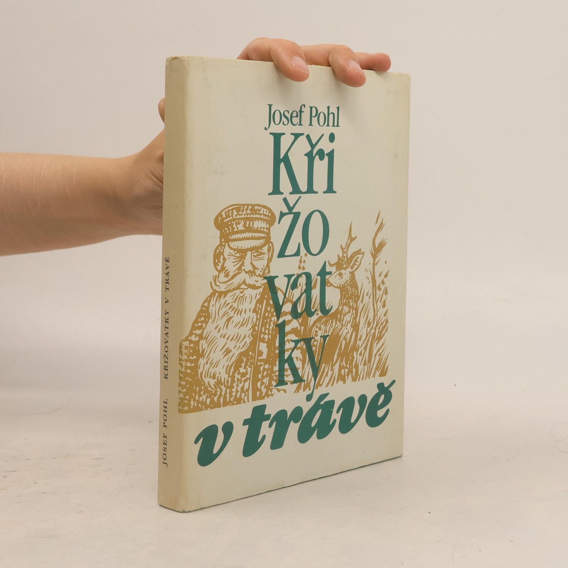Křižovatky v trávě