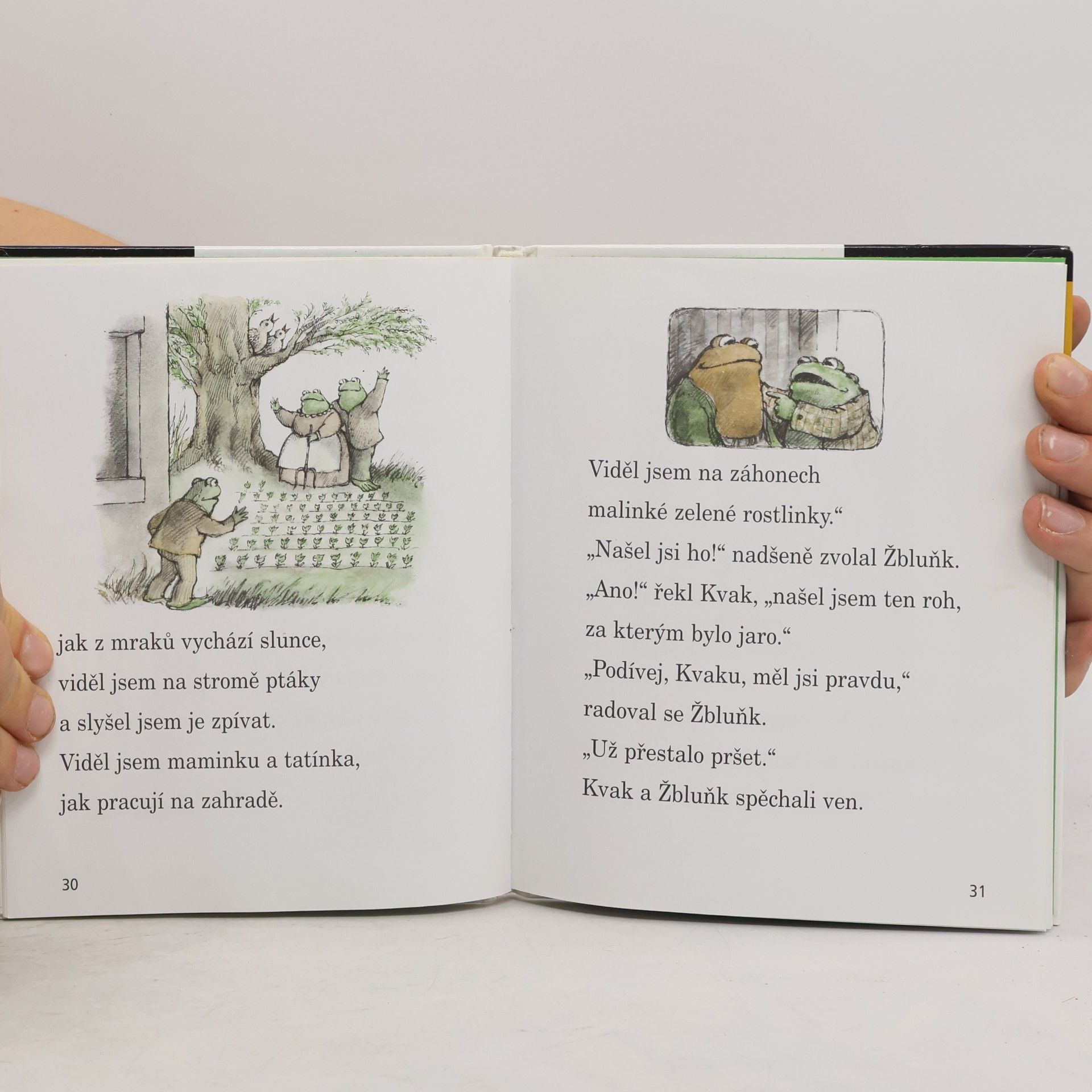 Arnold Lobel Kvak a Žbluňk od jara do Vánoc