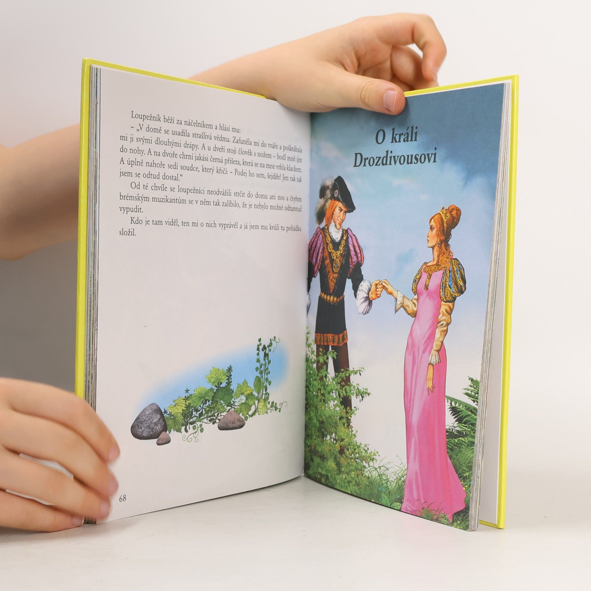 Jacob Grimm Pohádky bratří Grimmů