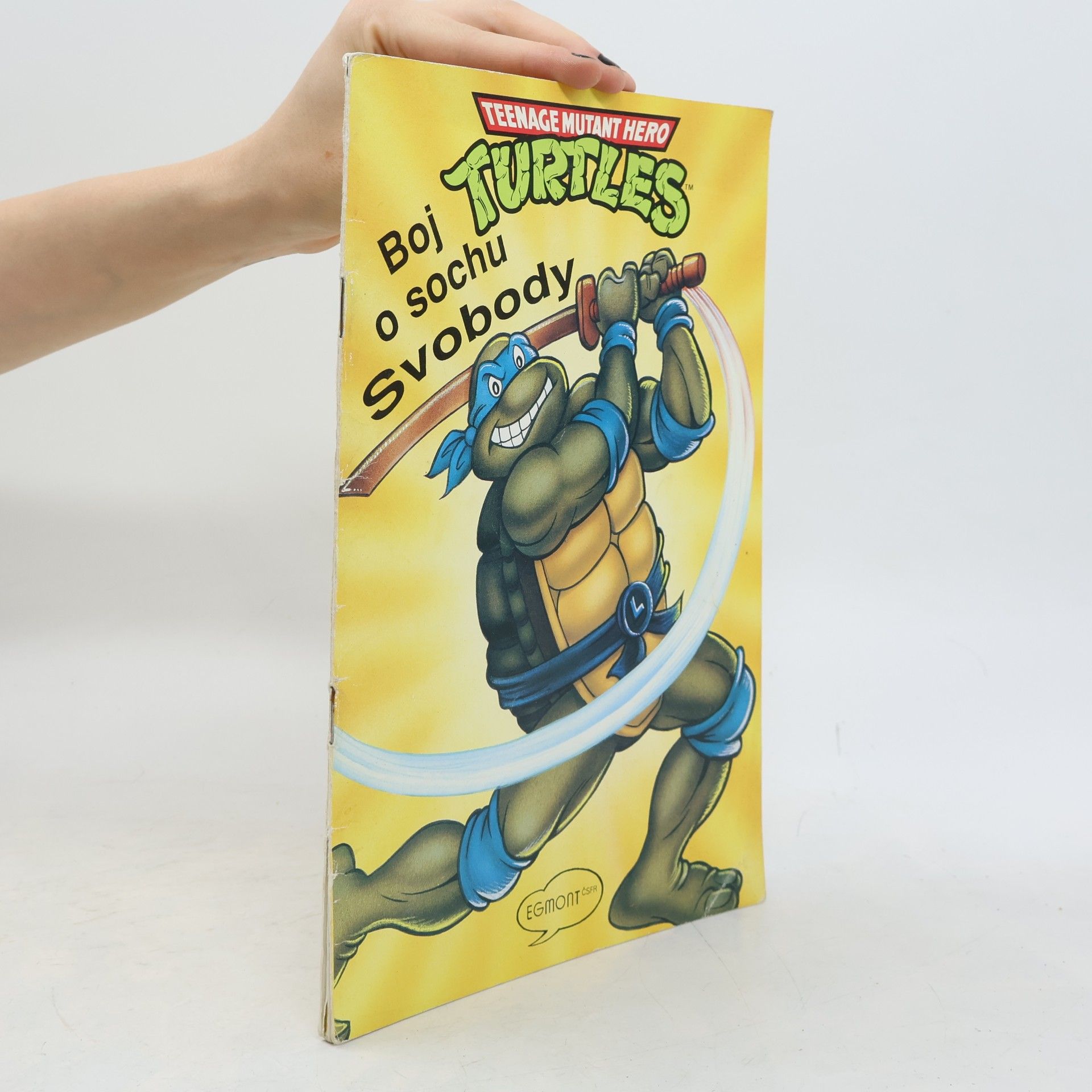 Ryan Brown Teenage Mutant Hero Turtles 8: Boj o sochu Svobody