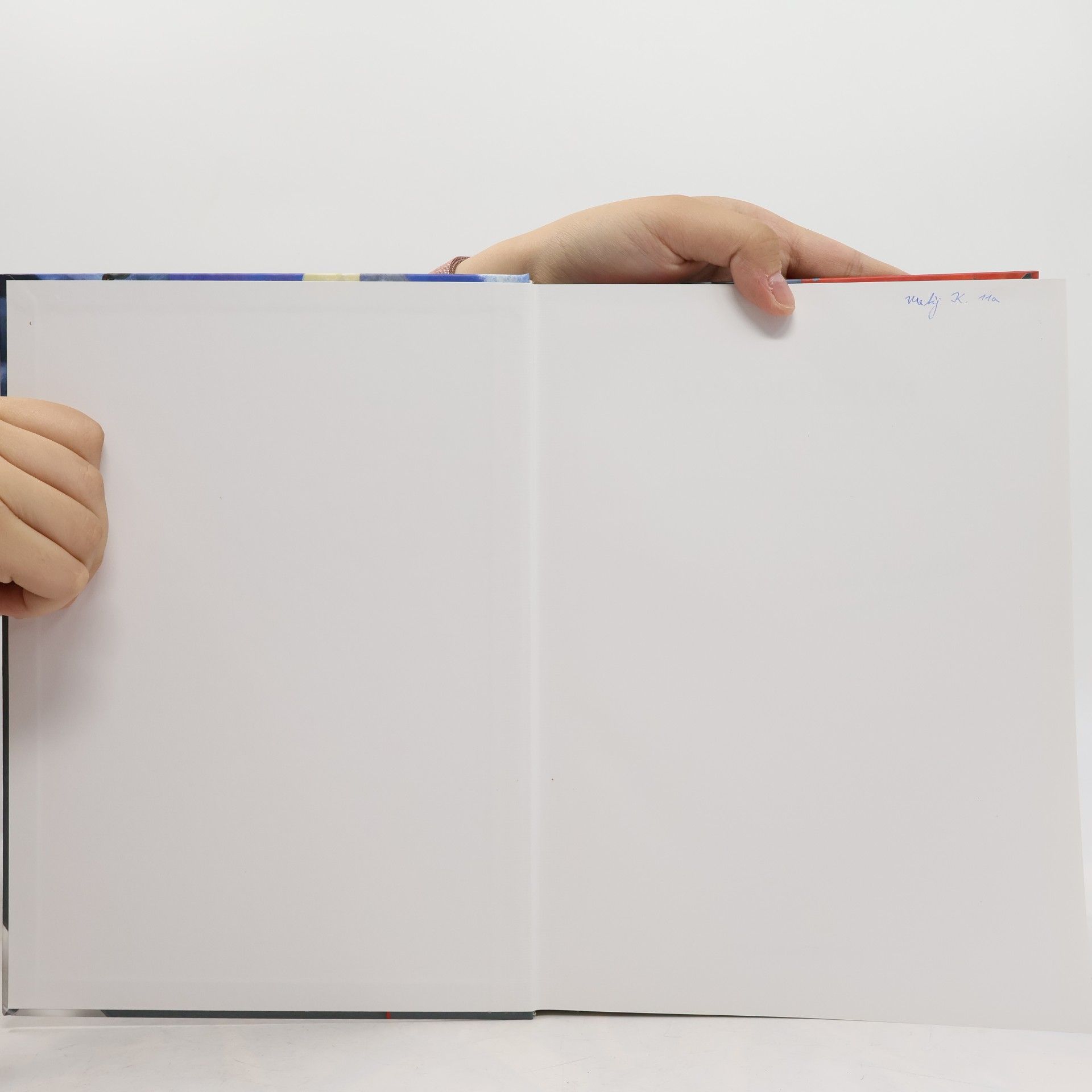 Autorenkollektiv Buchners Kompendium Politik