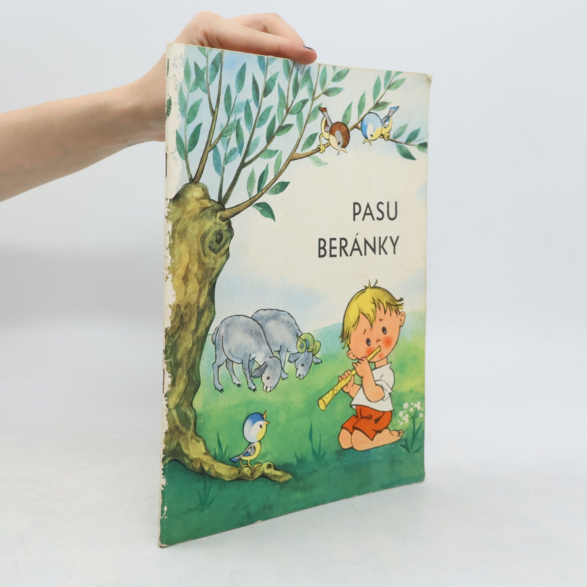 AA.VV. Pasu beránky