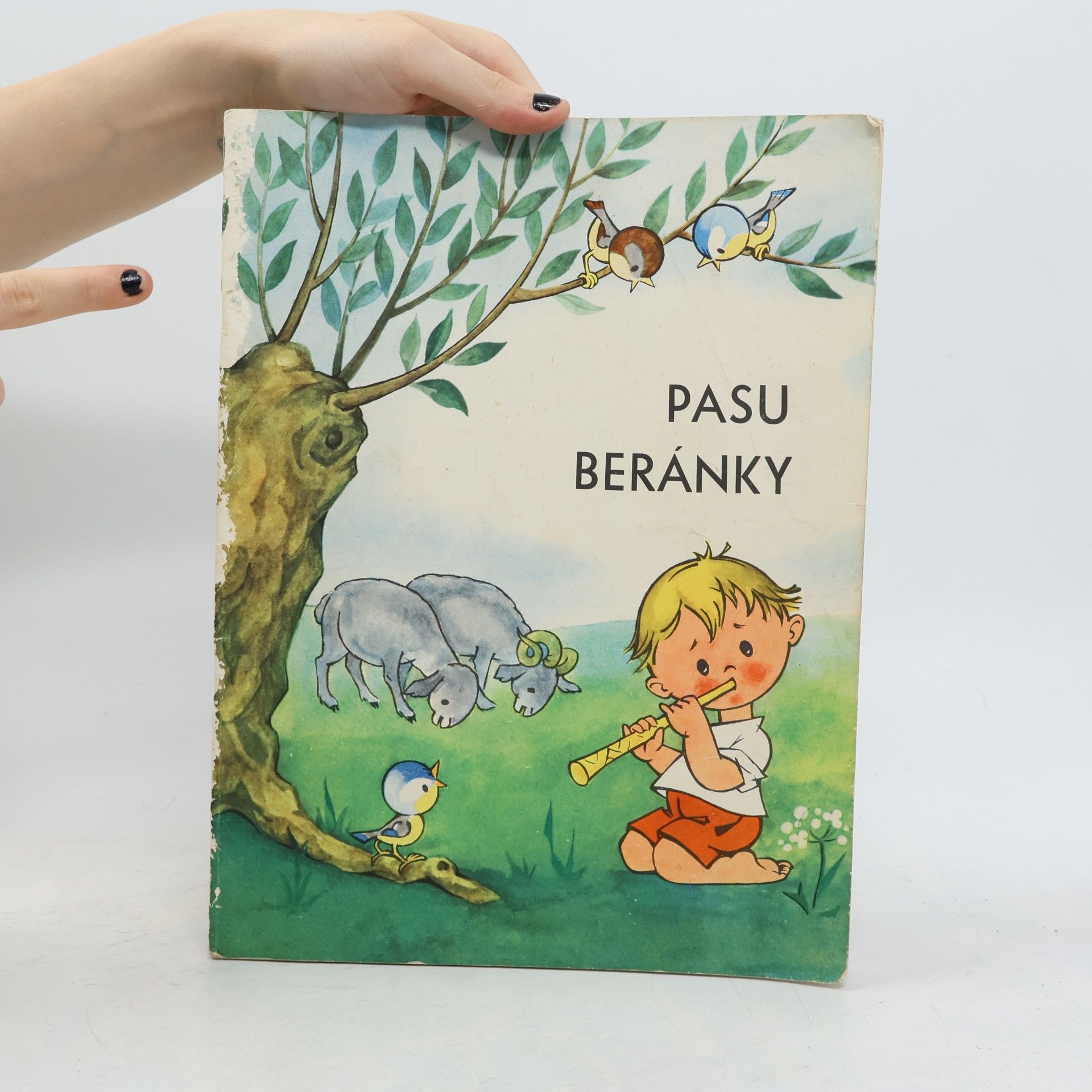 AA.VV. Pasu beránky