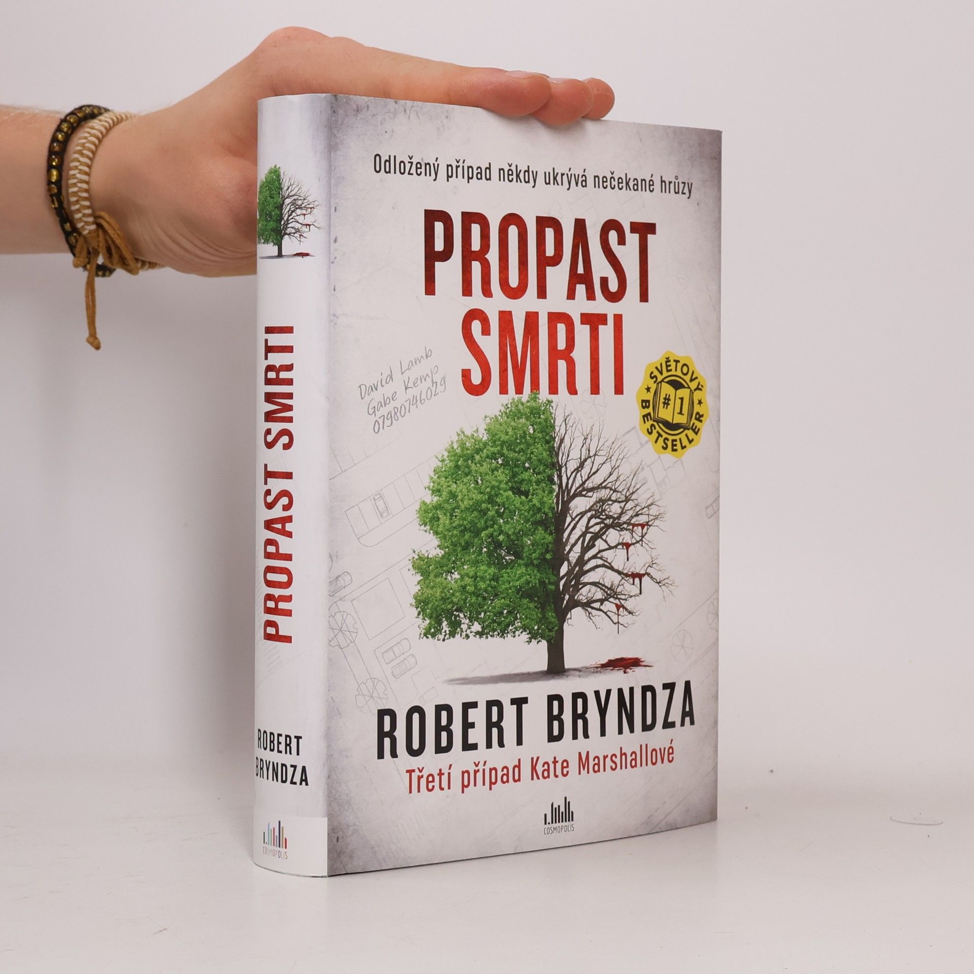 Robert Bryndza Propast smrti