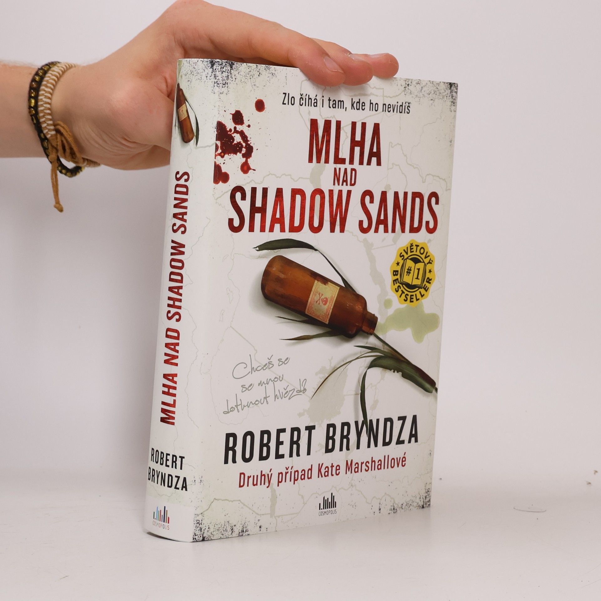 Robert Bryndza Mlha nad Shadow Sands