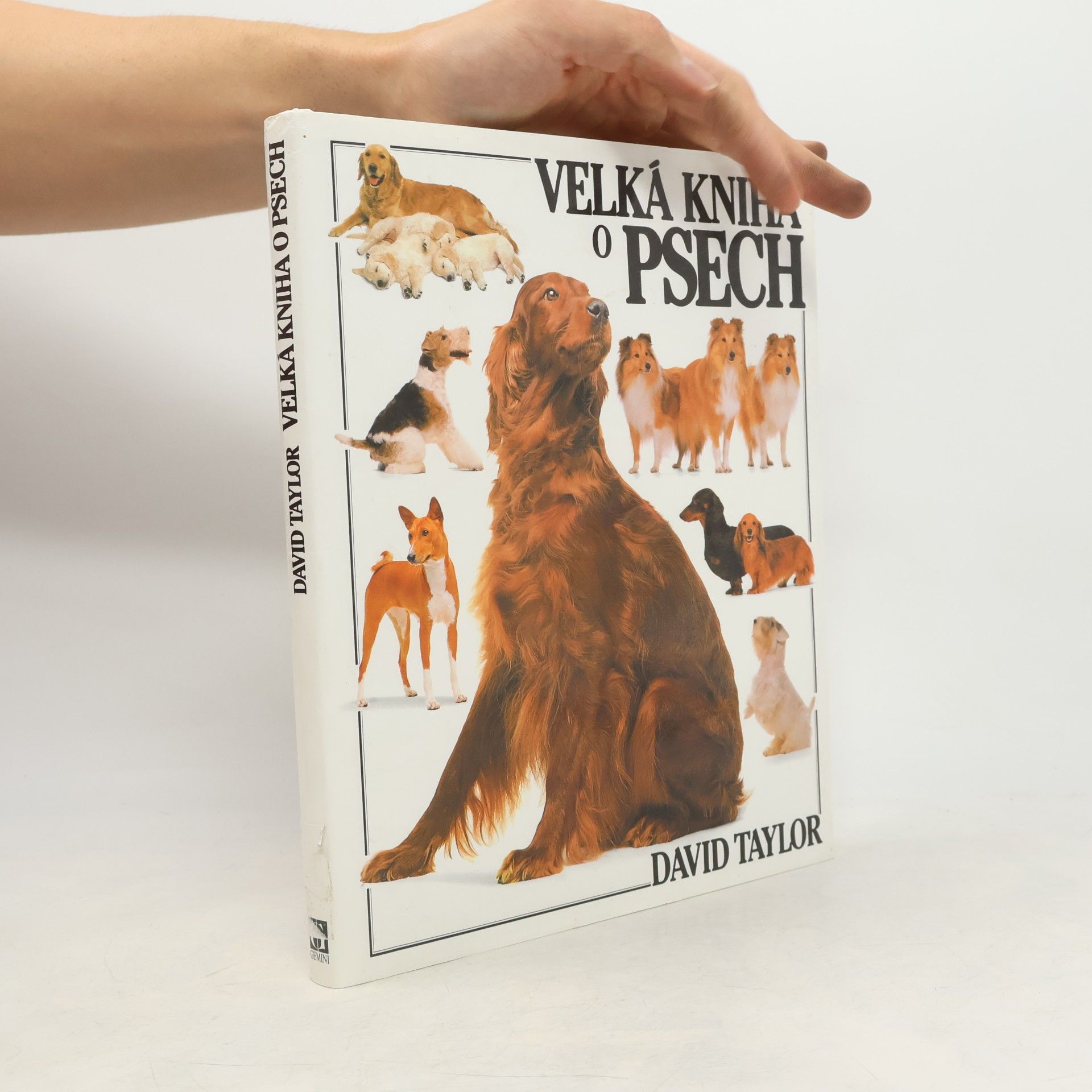 David Conrad Taylor Velká kniha o psech
