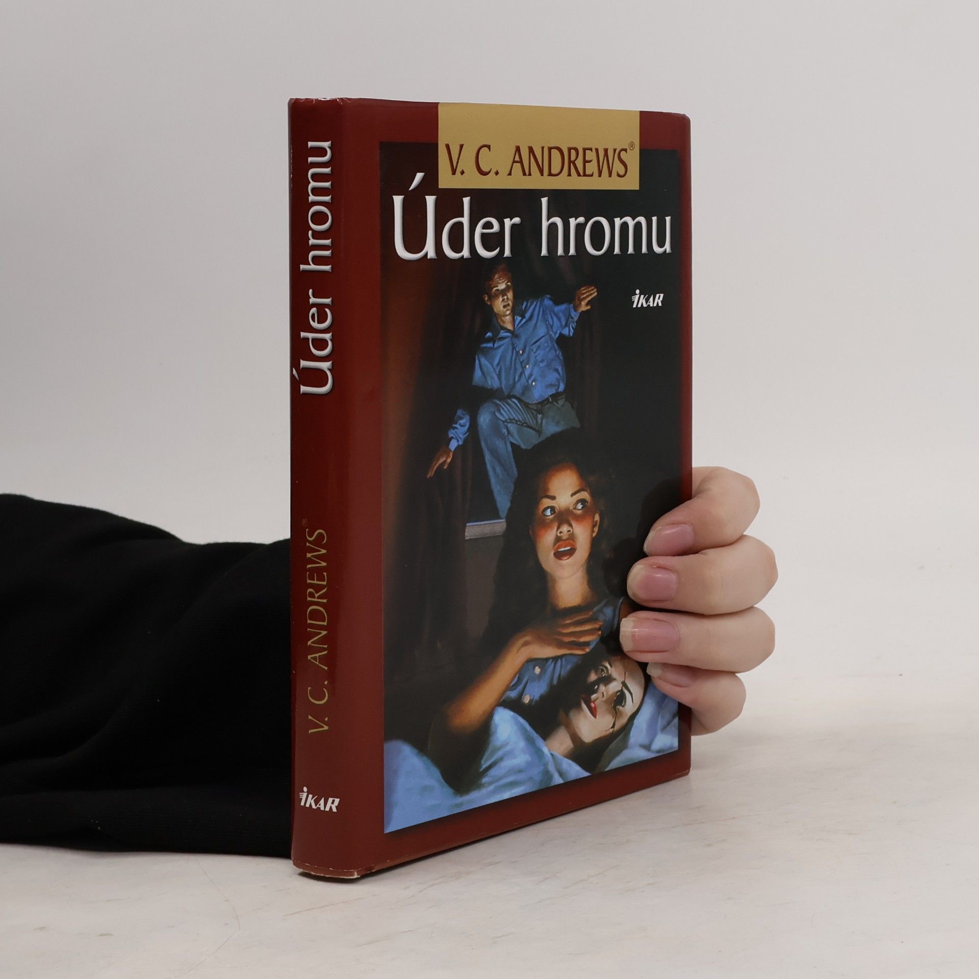 V. C. Andrews Úder hromu