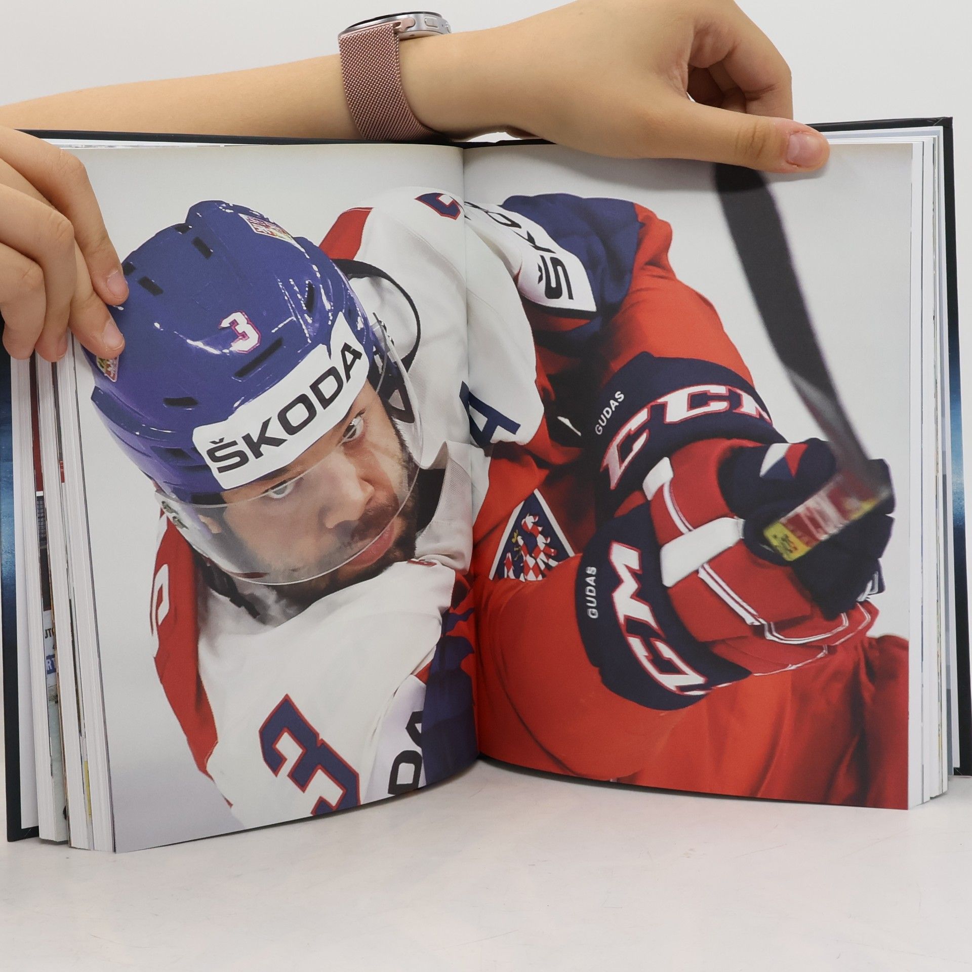 Pavel Bárta Gudy