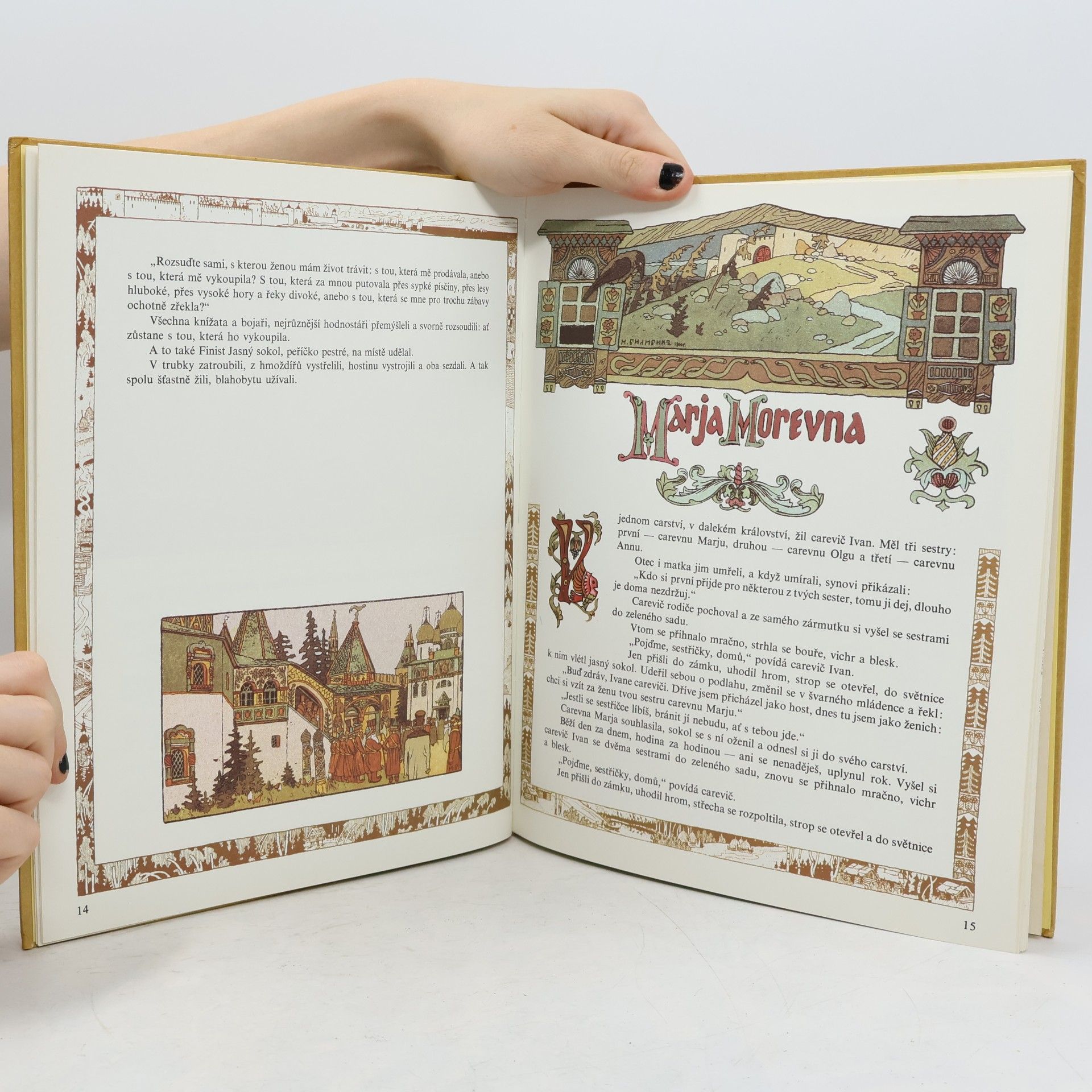 Autorenkollektiv Peříčko Finista Jasného sokola