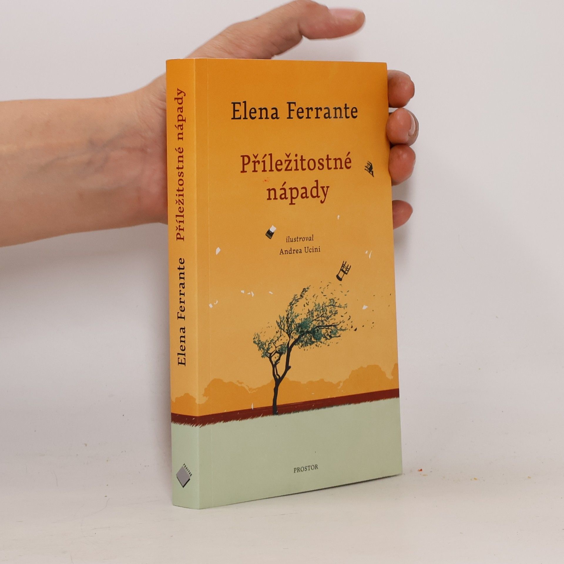 Elena Ferrante Příležitostné nápady