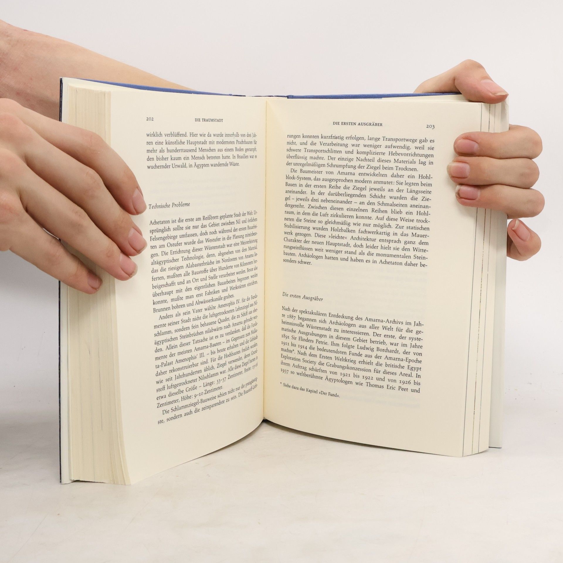 Philipp Vandenberg Nofretete. Eine archäologische Biographie